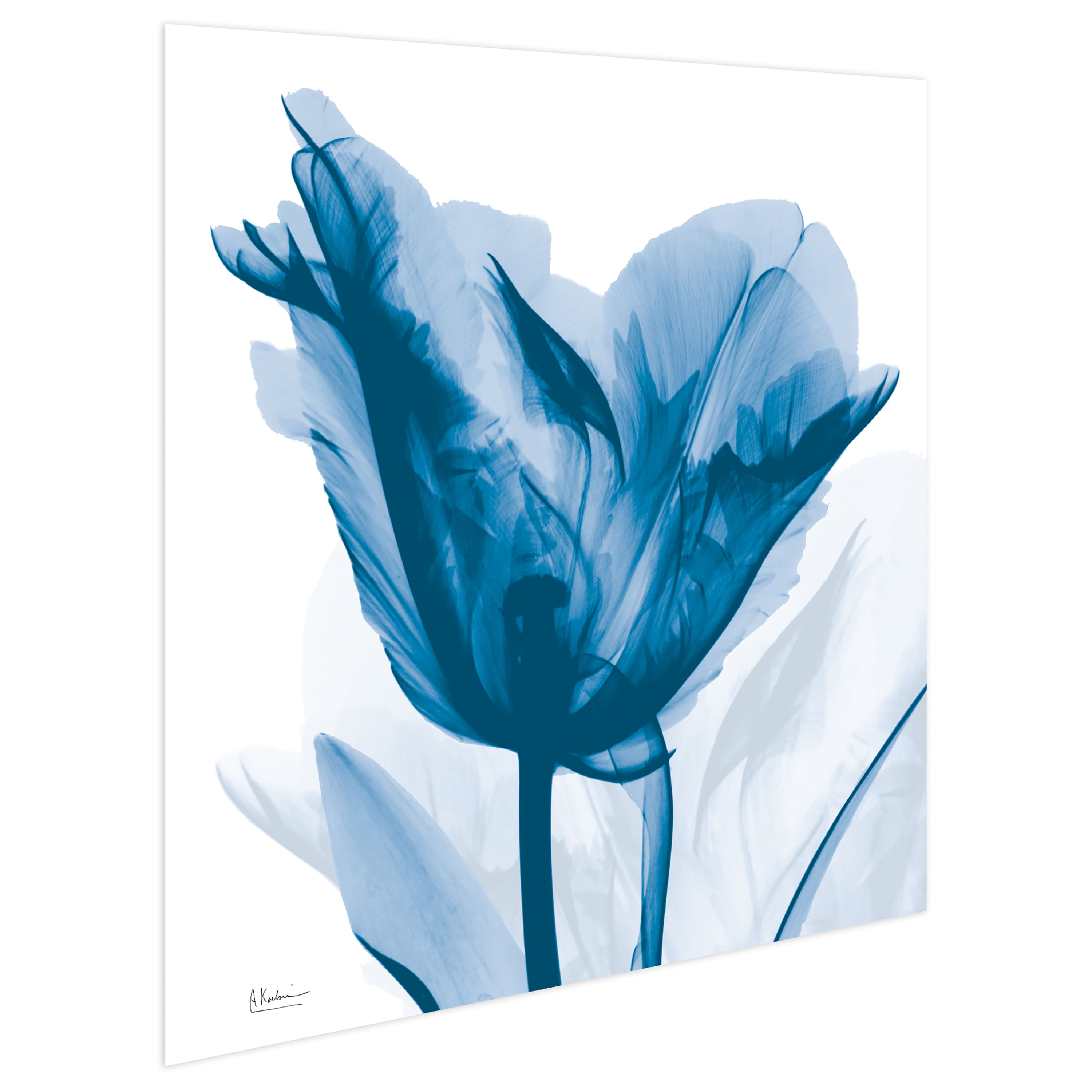 Empire Art Direct 24" x 24" Lusty Blue Tulip Frameless Free Floating Printed Tempered Glass Wall Art