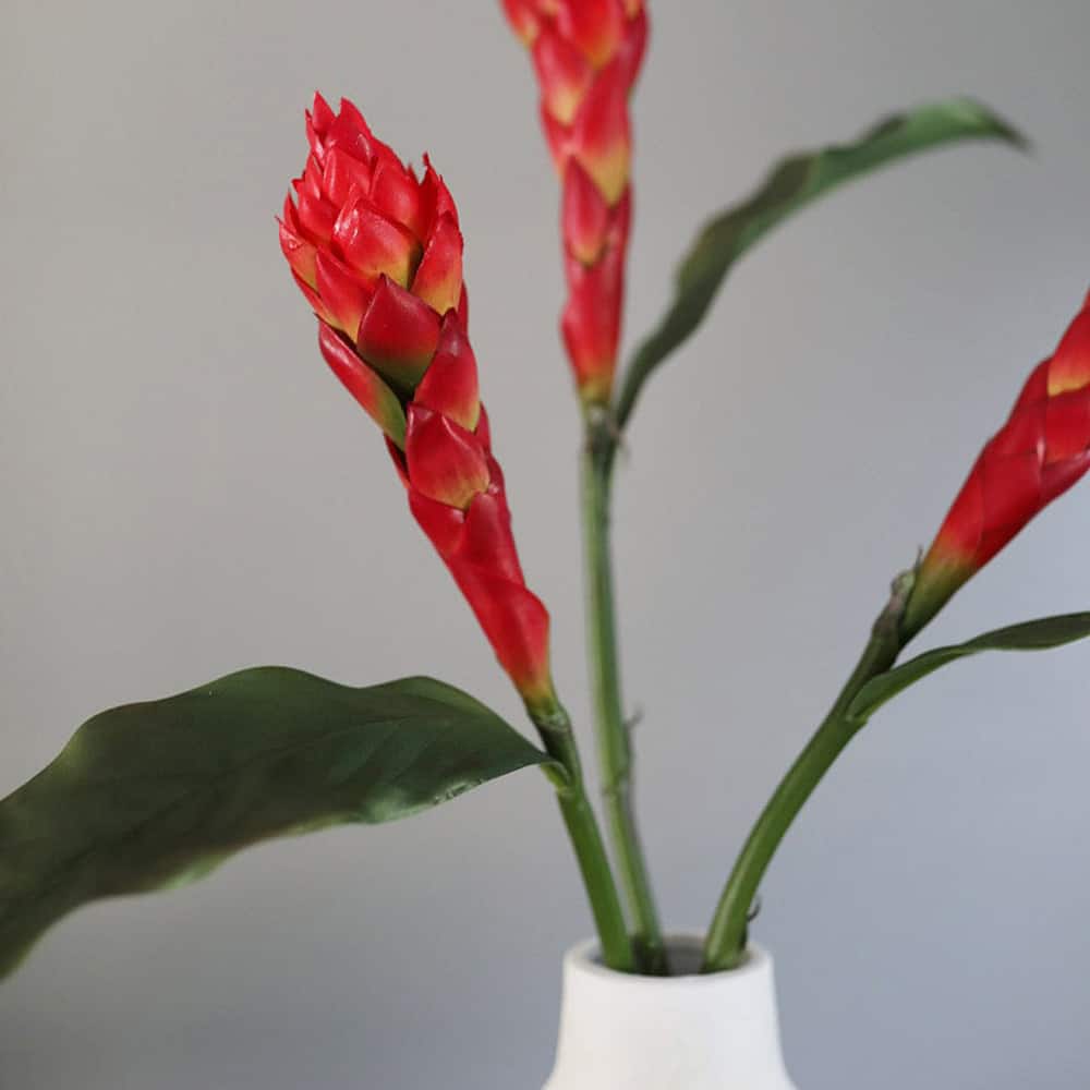 Prestige Botanicals 32" Red Faux Tropical Ginger Flower Stem