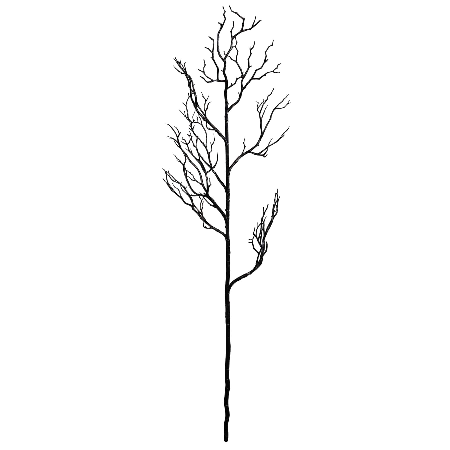 Black Bare Branch Stem by Ashland®
