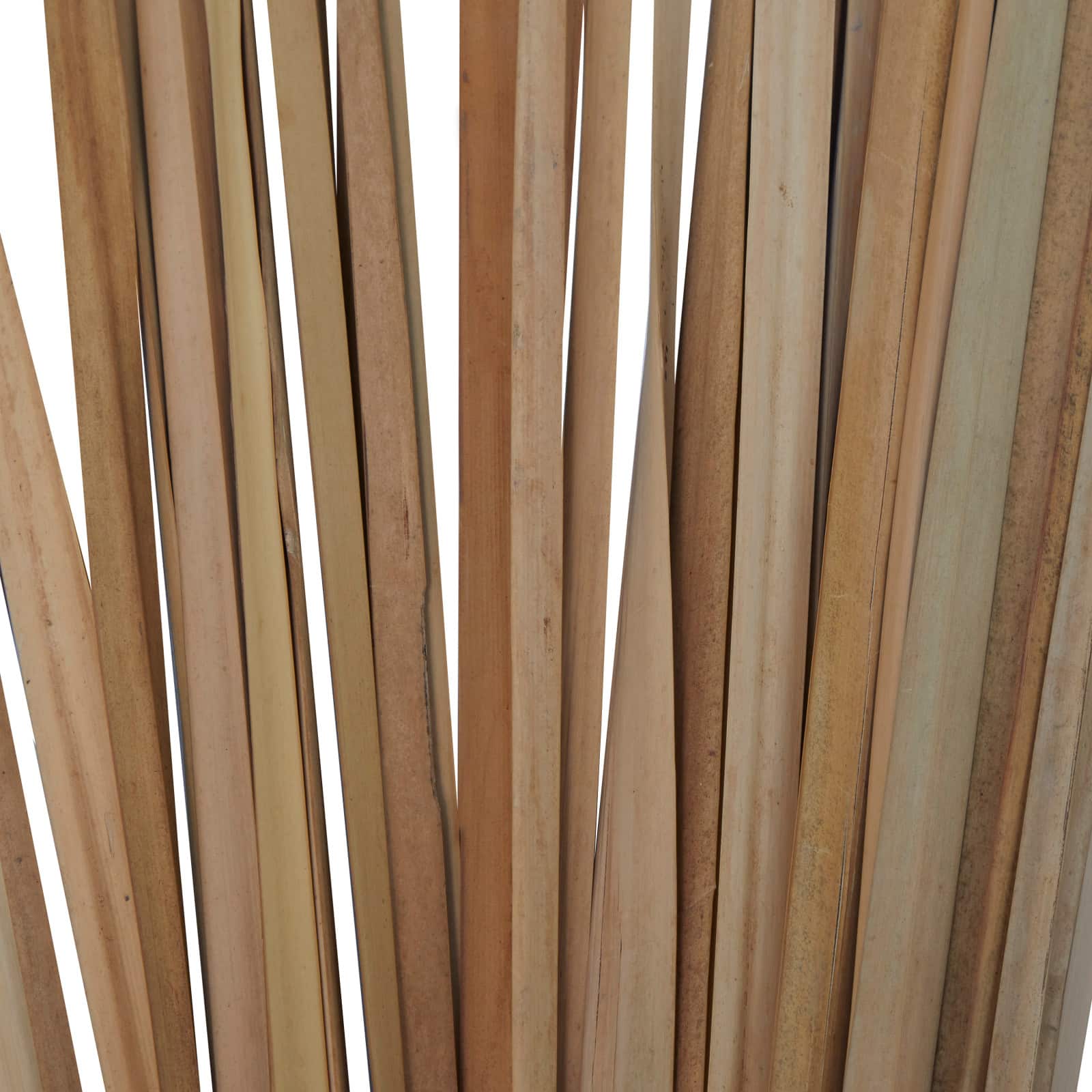 3.5ft. Natural Light Brown Dried Plant Foliage with Slender Stems