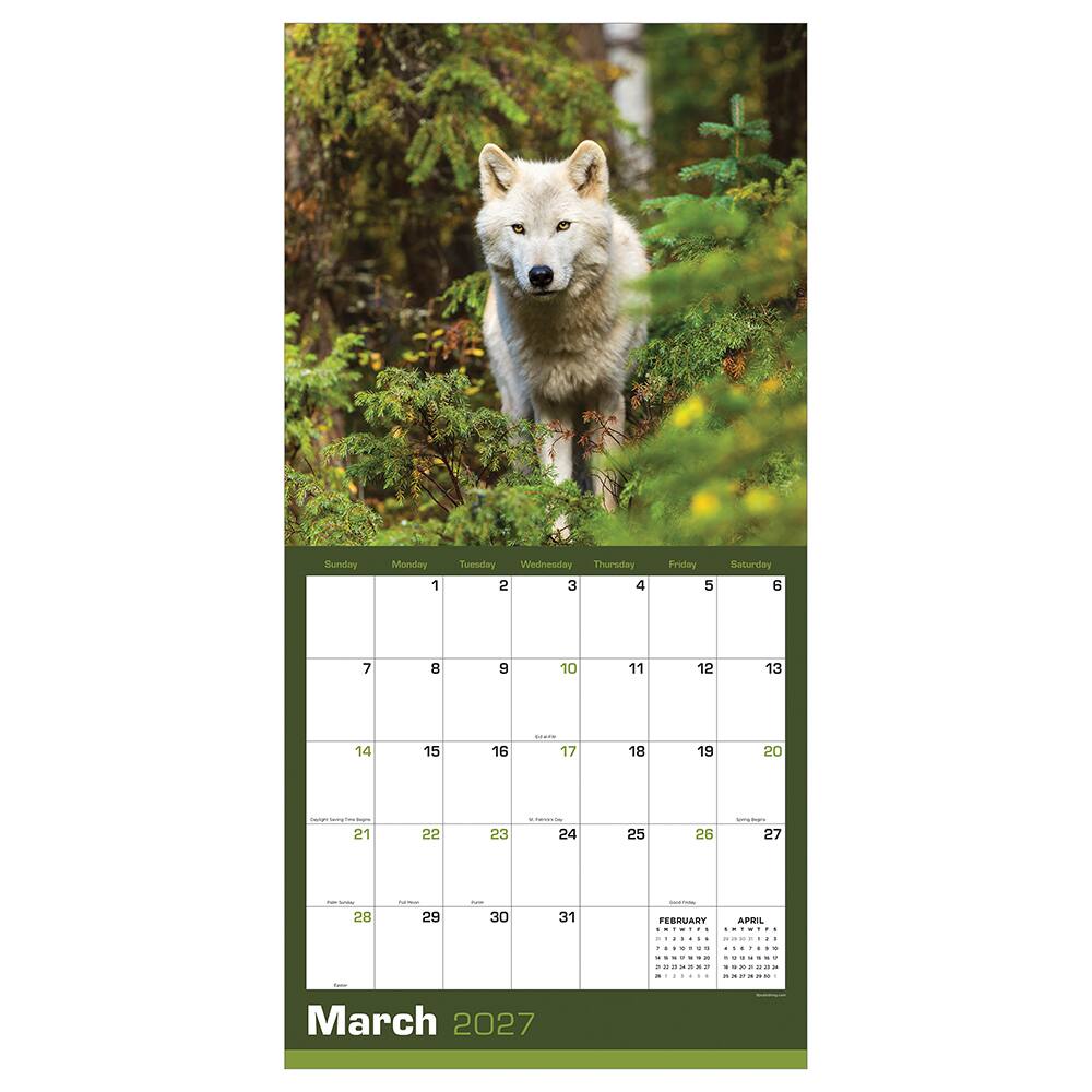 2027 Wolves Wall Calendar