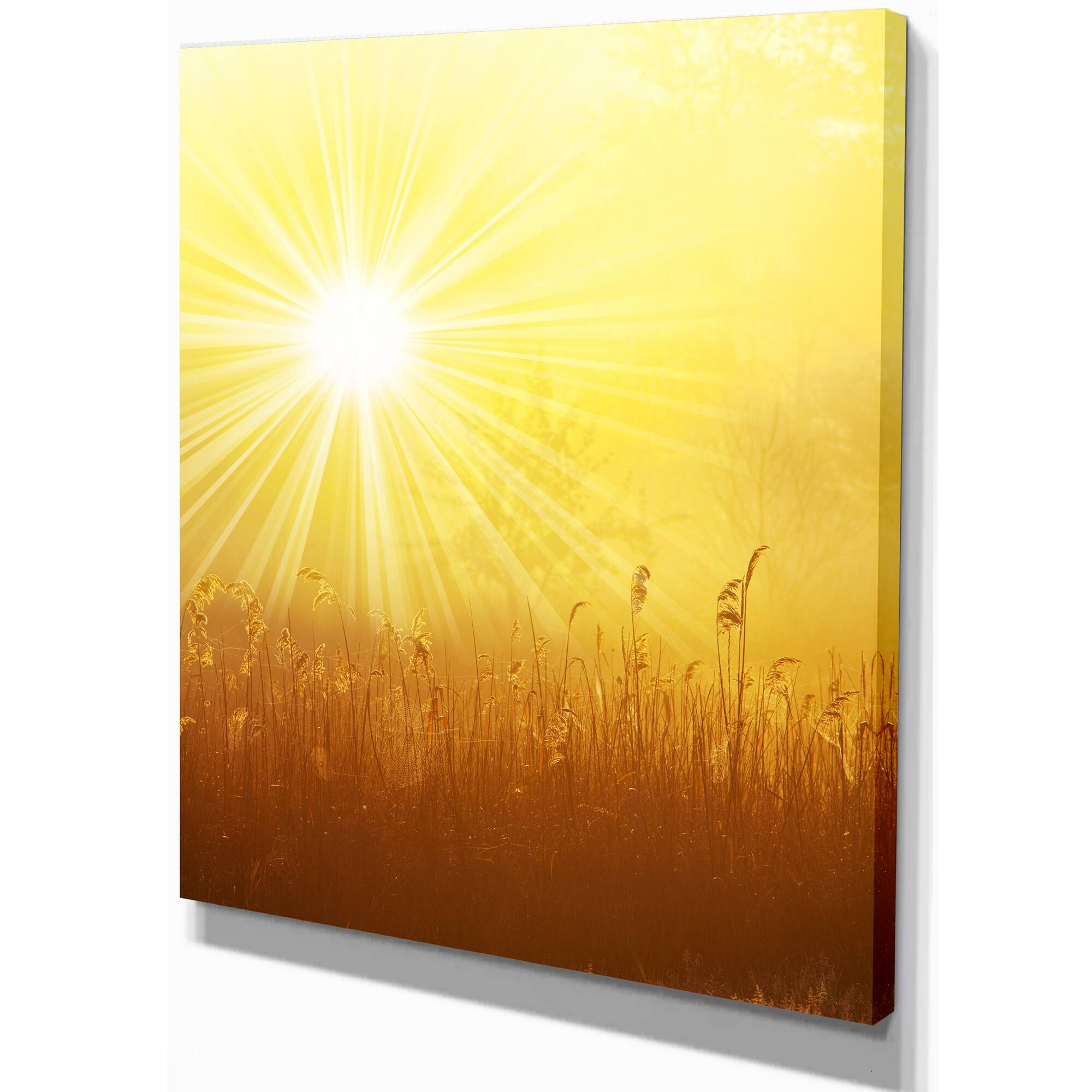 Designart - Amazing Sunrise over Meadow - Oversized Landscape Canvas Art
