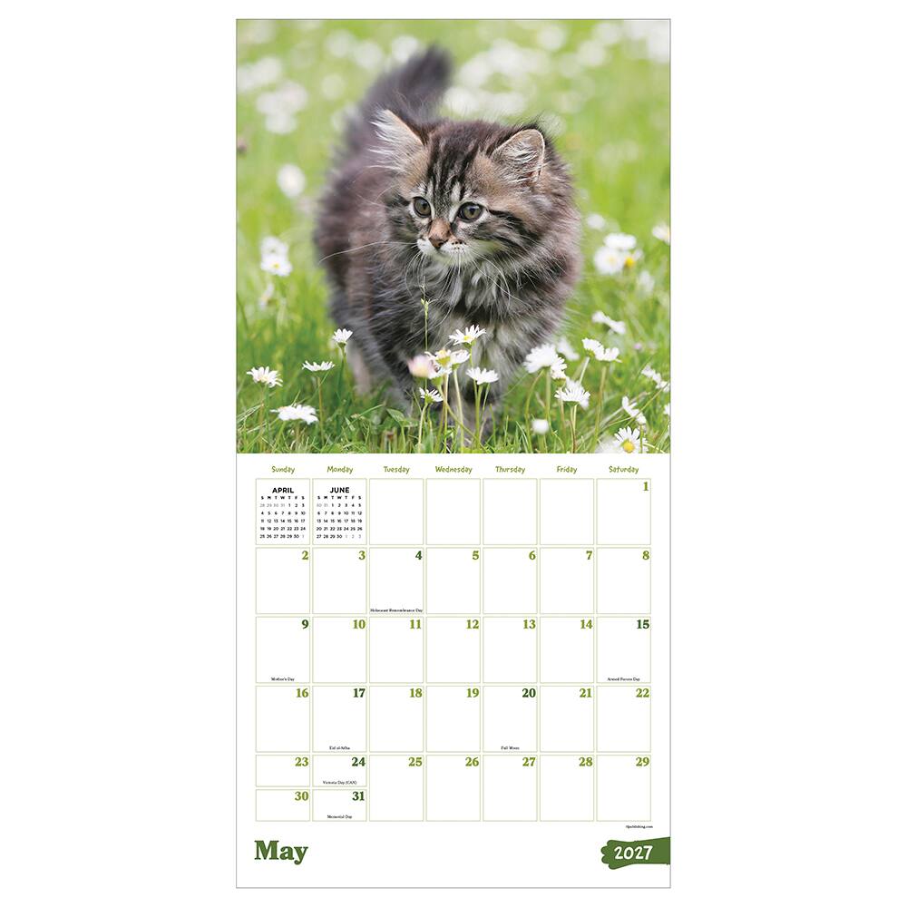 2027 Kittens Wall Calendar