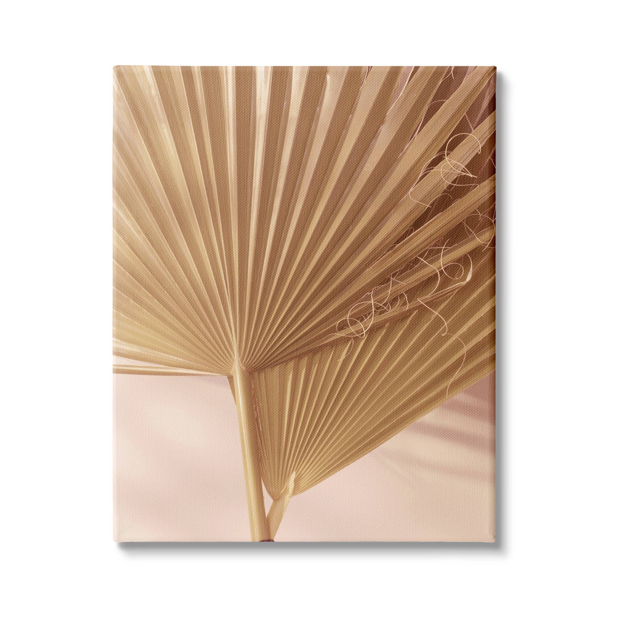 Stupell Industries Two Palm Fronds Sun Bleached Photography Tropical Plants Canvas Wall Art