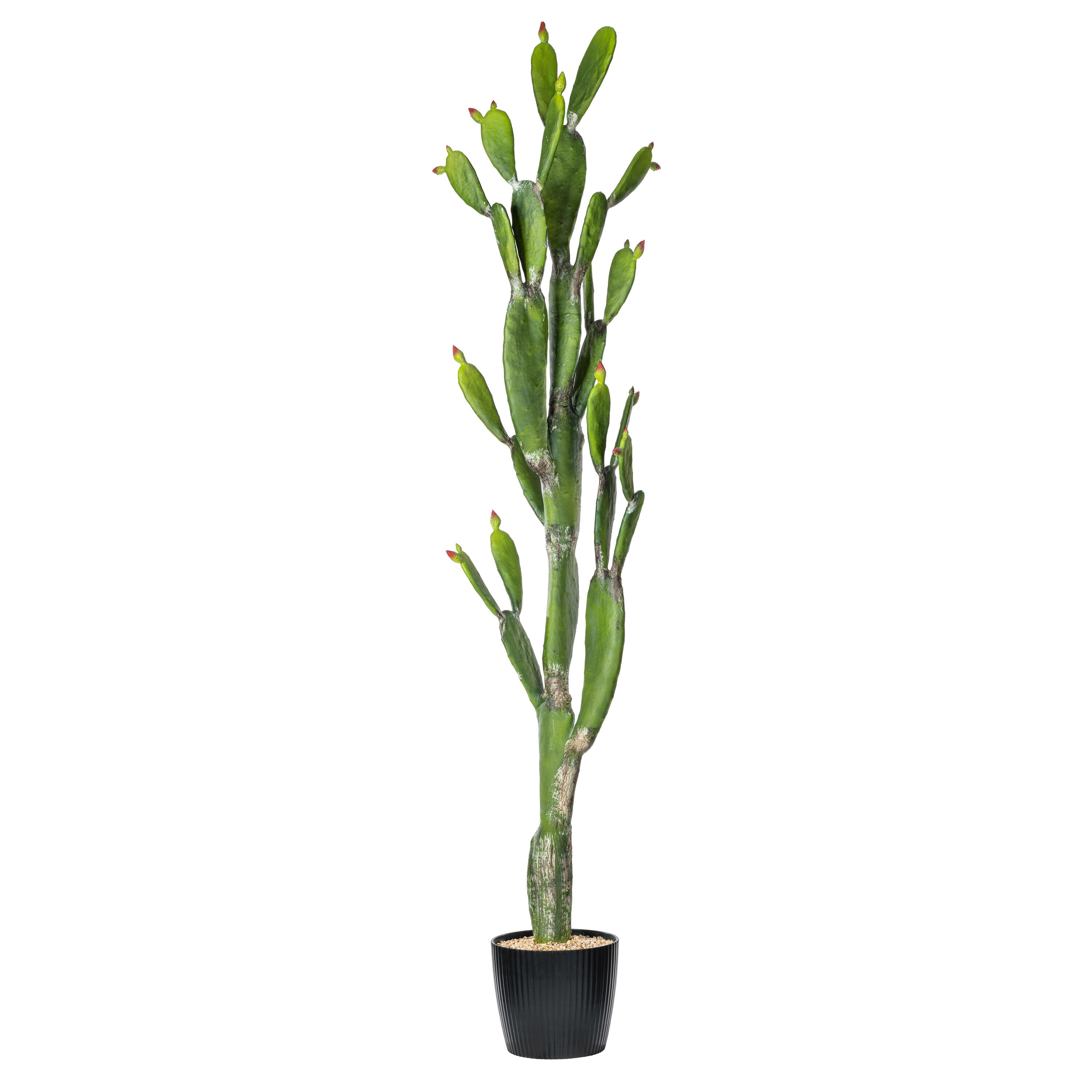 7ft. Potted Green Cactus
