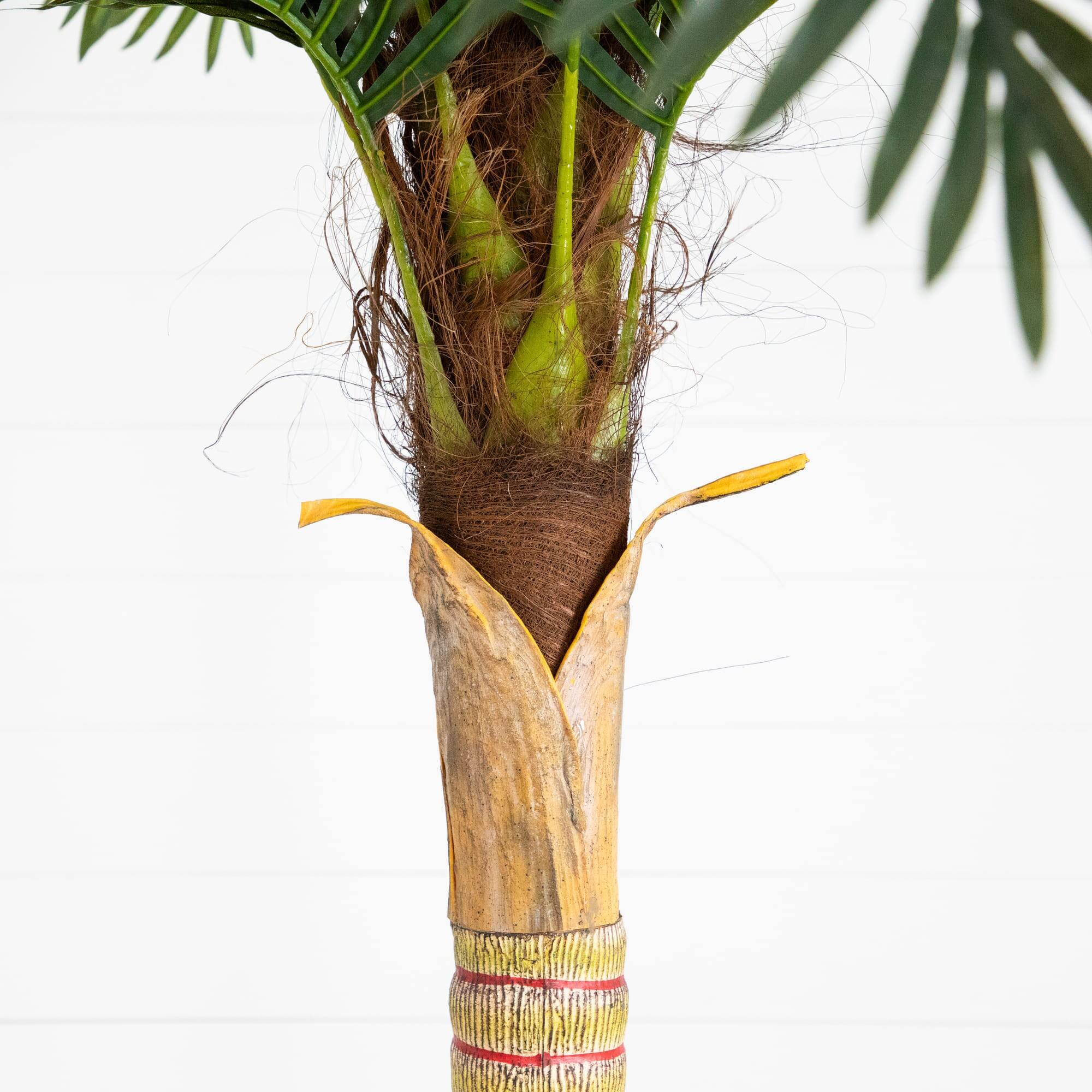 8ft. Potted Coconut Palm Tree