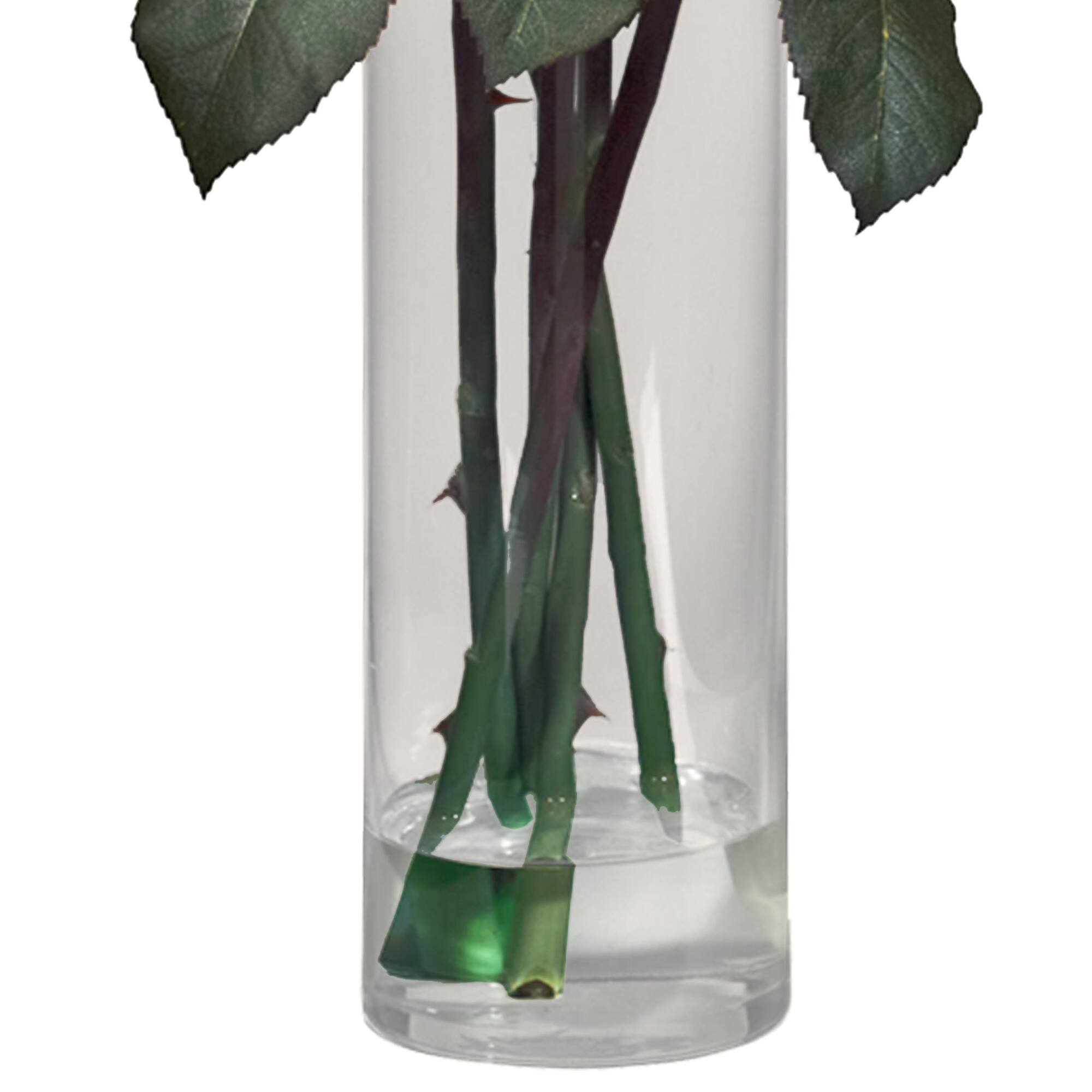 18" Fancy Rose Arrangement in Glass Cylinder Vase