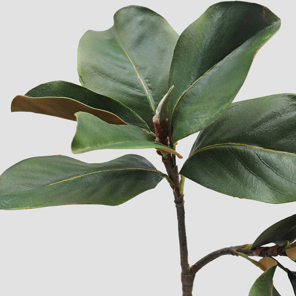 Prestige Botanicals 25" Faux Magnolia Leaf Stem