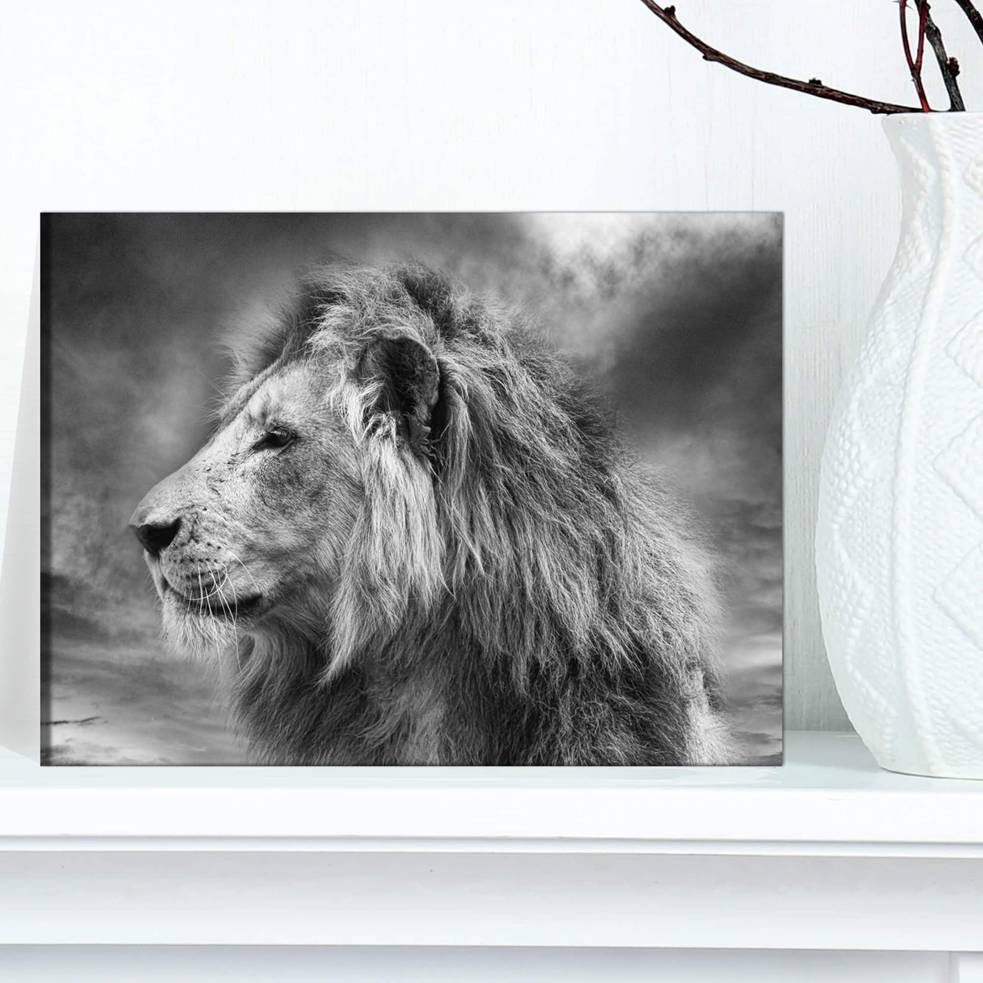 Designart - Grey Wild African Lion - Animal Canvas Art Print