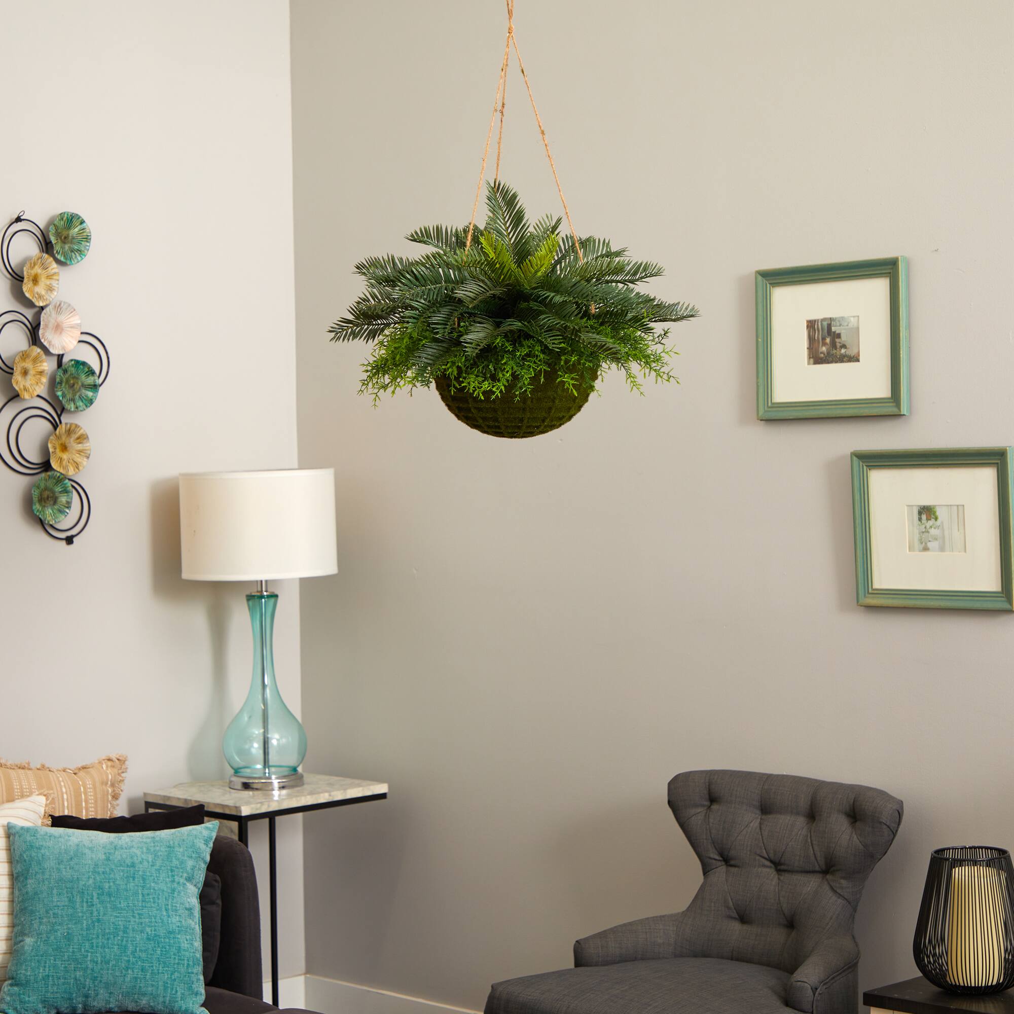 13" Cycas Plant in Mossy Hanging Basket