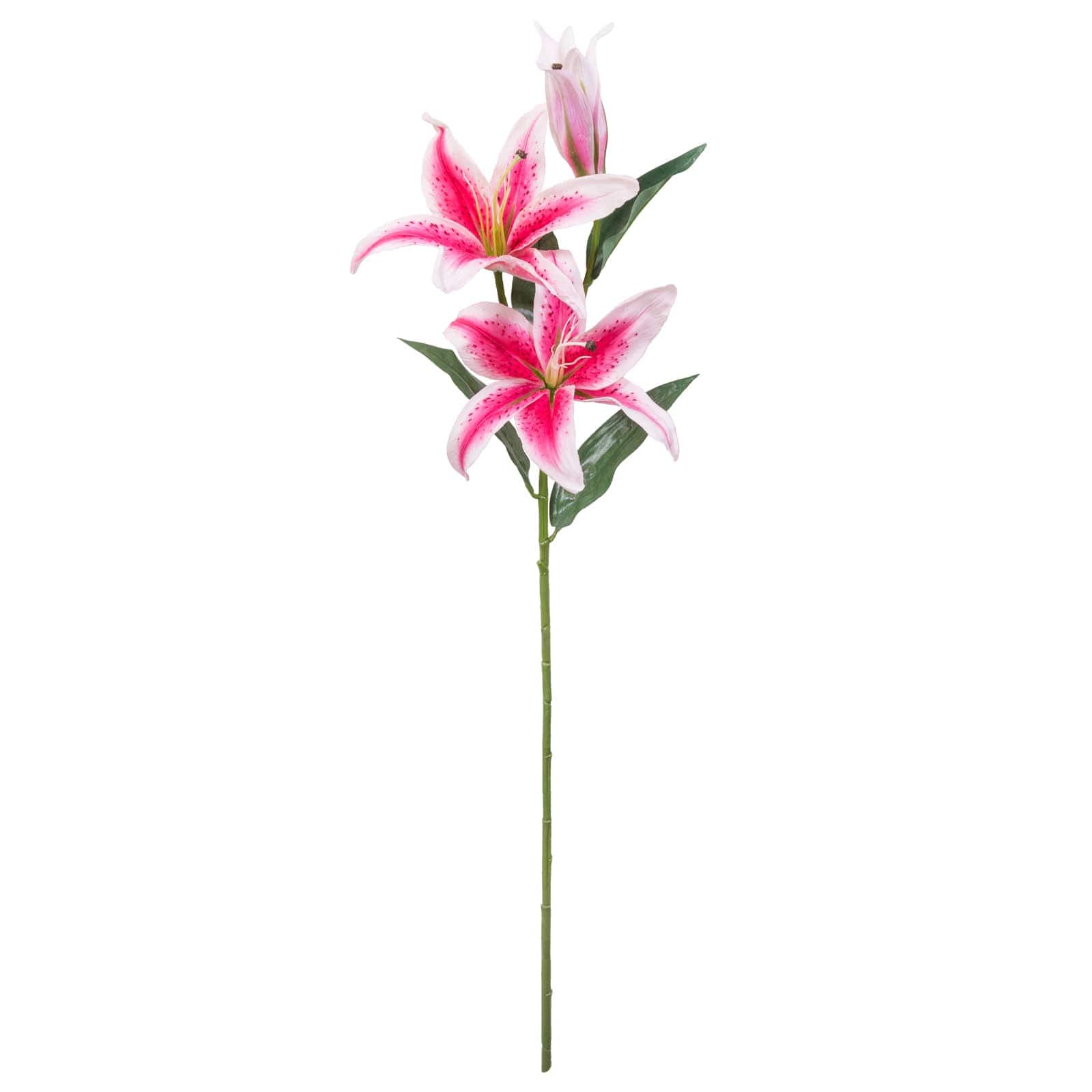 Casablanca Lily Stem by Ashland®, Color: White | Michaels