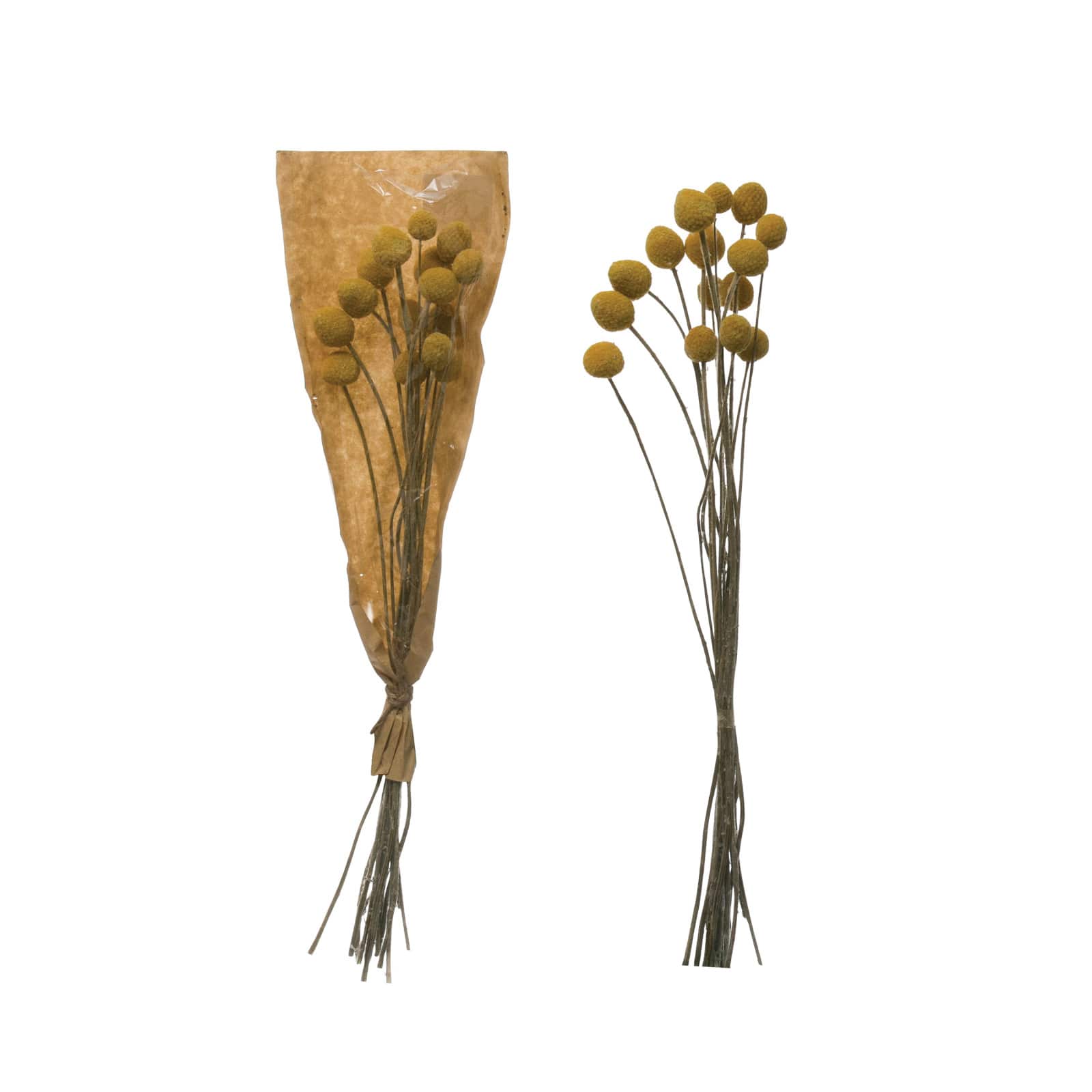 Hello Honey® Yellow Billy Ball Bunch