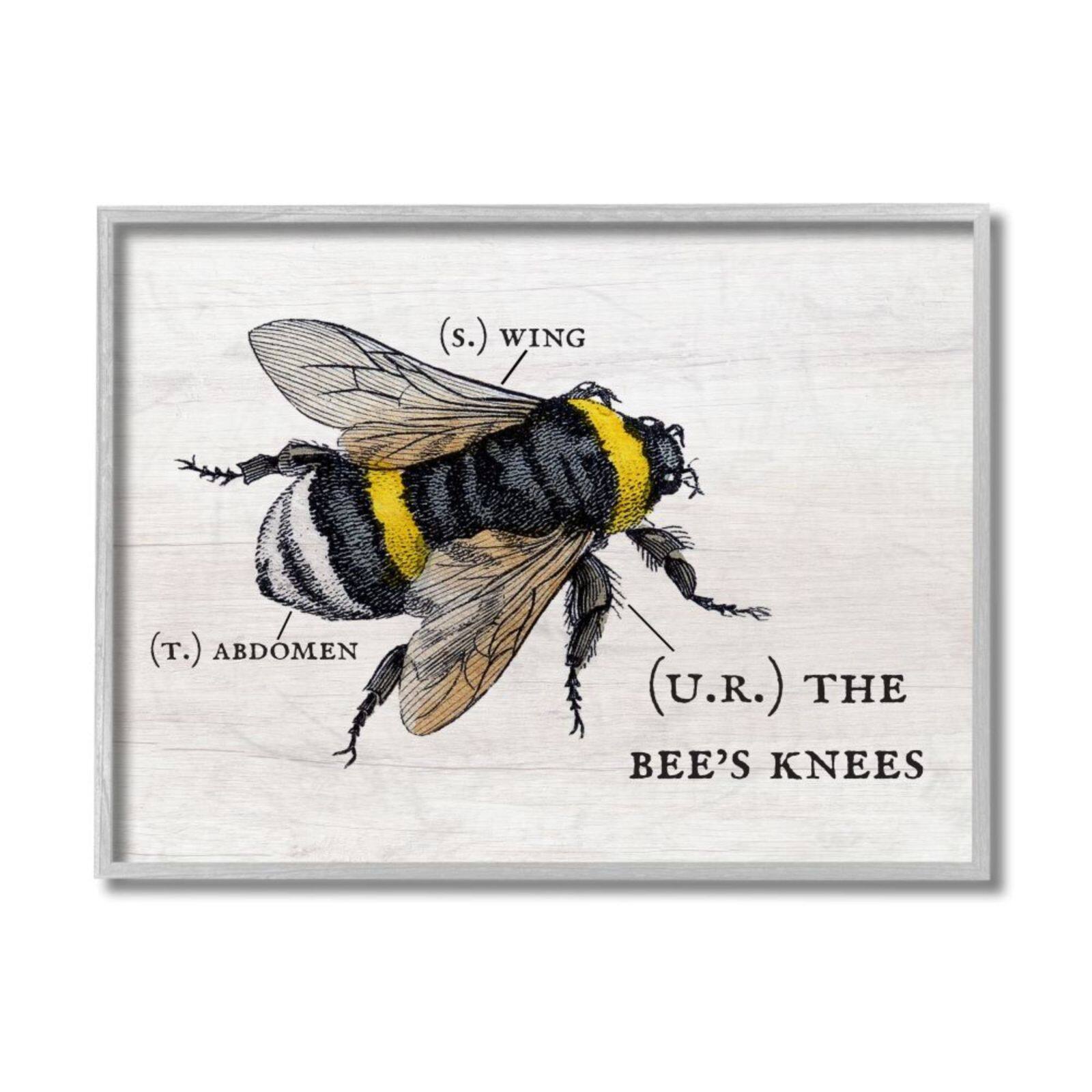 Stupell Industries Anatomy of Honey Bee Pun Gray Framed Wall Art