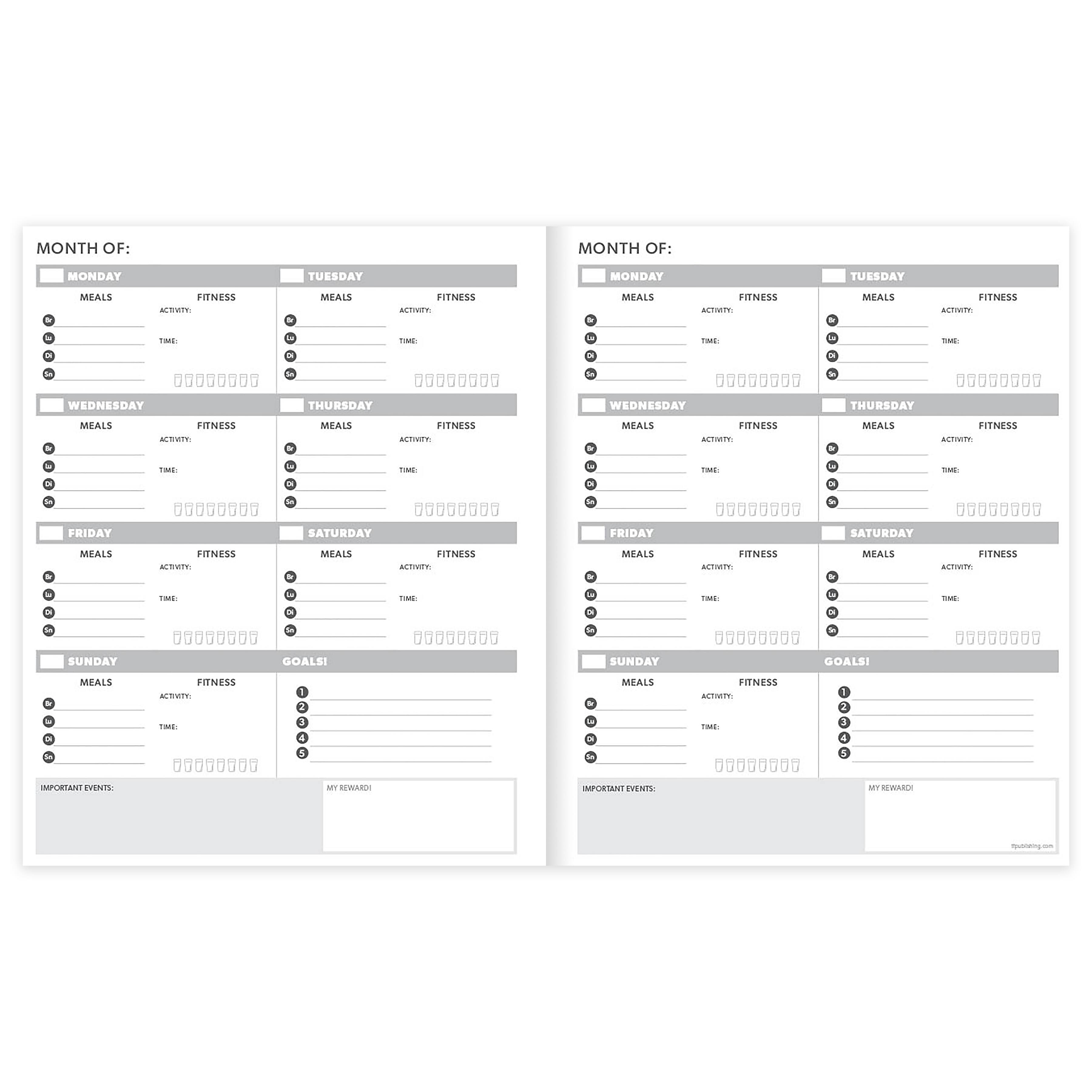 TF Publishing Large Undated Wellness Planner