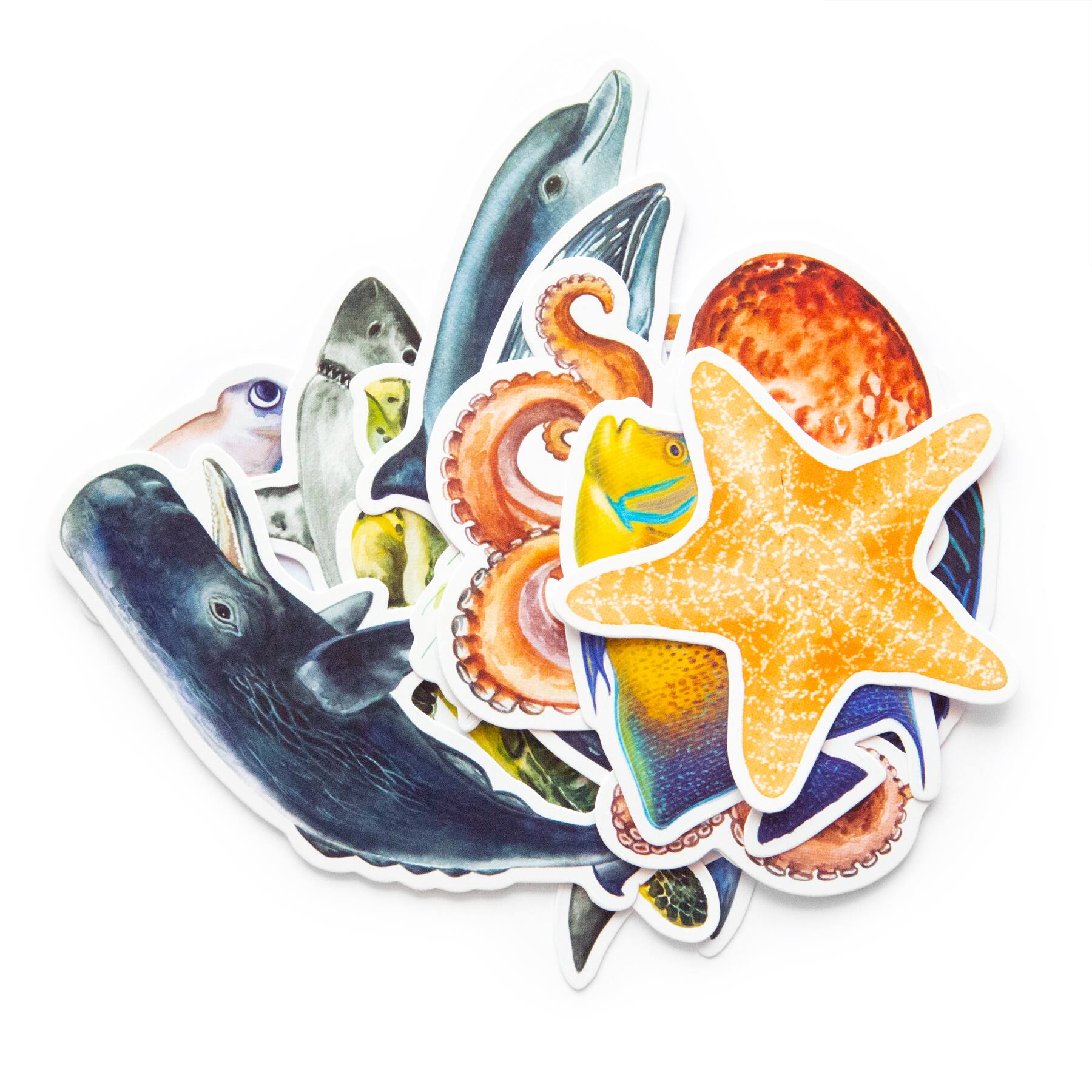 12 Pack: Sealife Die Cut Stickers by Recollections™