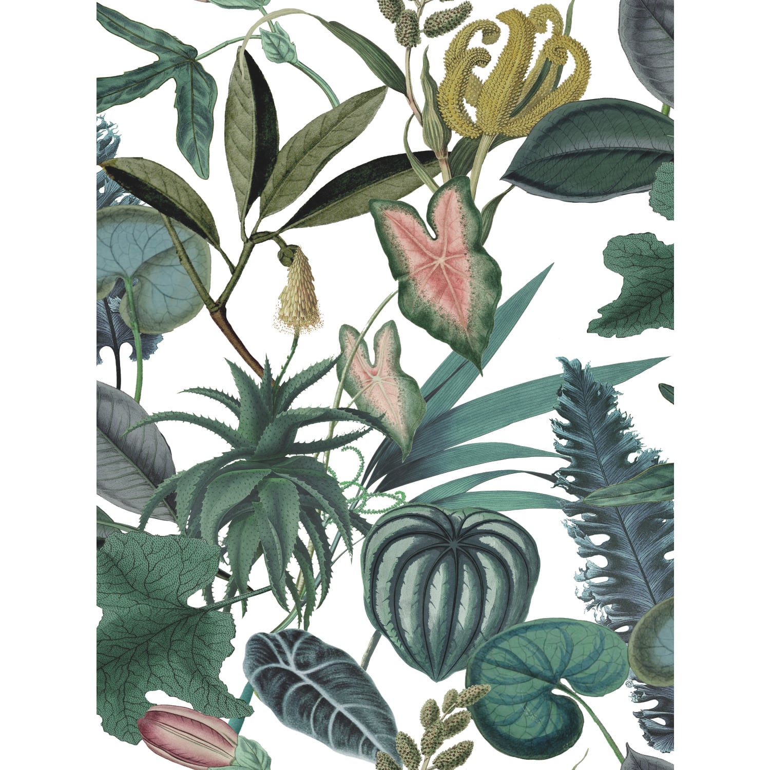 RoomMates Mr. Kate Tropical Peel & Stick Wallpaper
