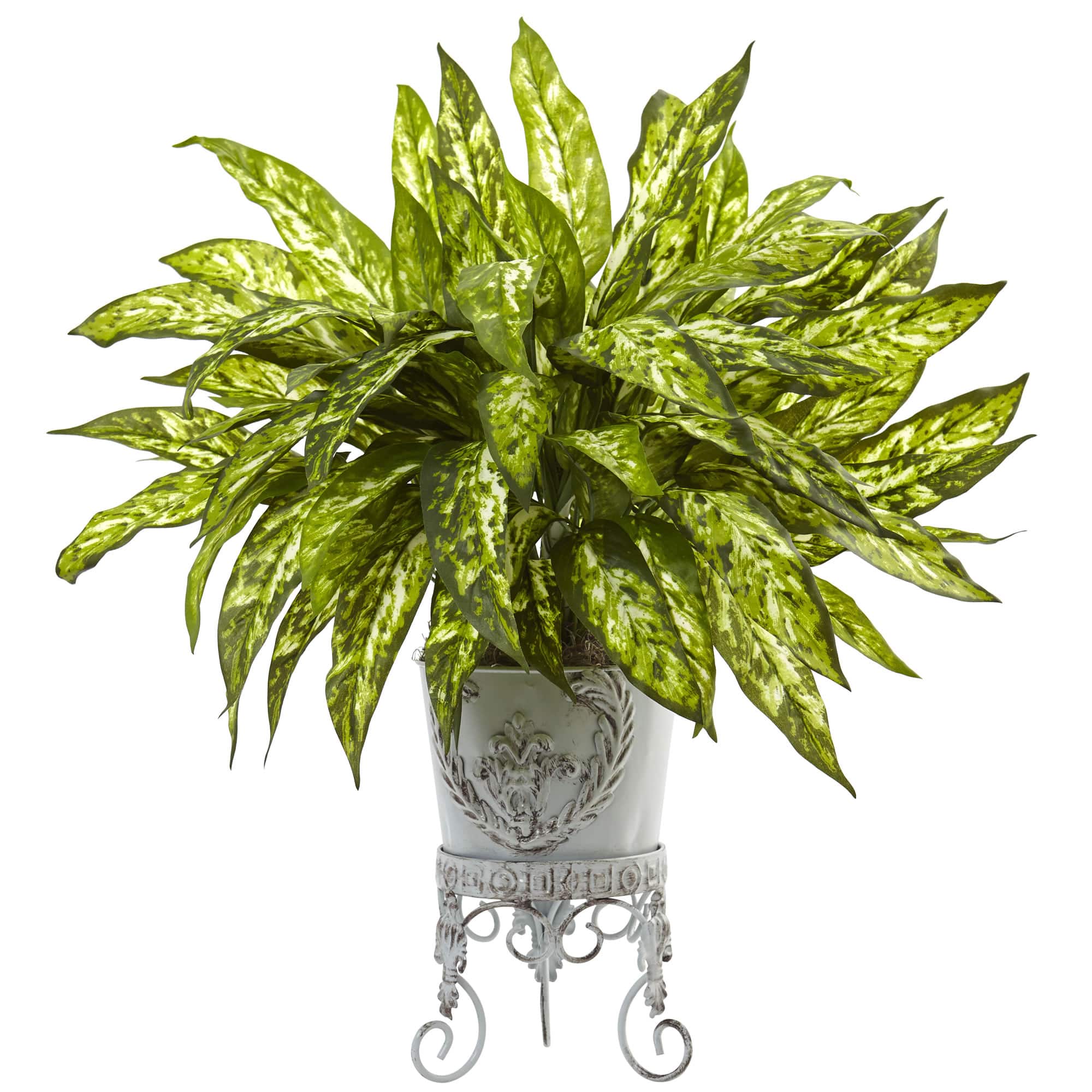 24" Aglaonema with White Metal Planter