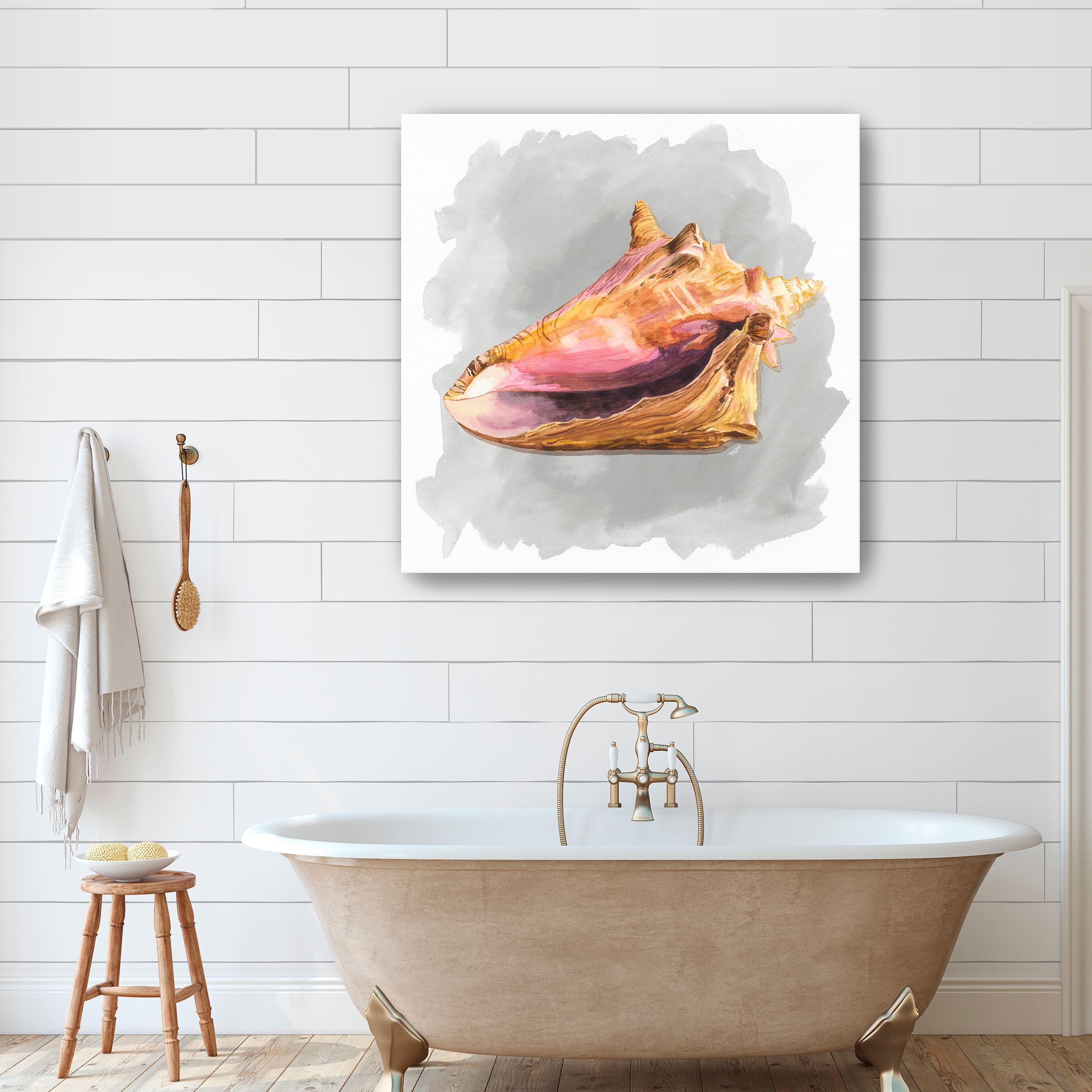 Shells On Grey II Canvas Giclee