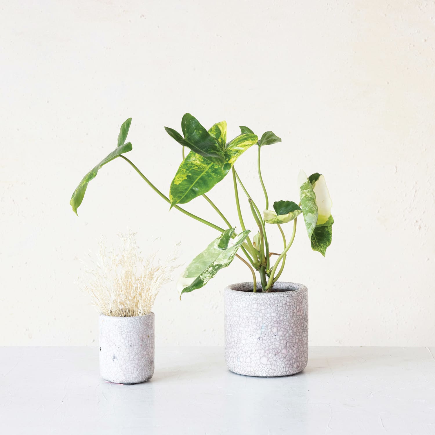 Hello Honey® 4.75" Matte Pink Crackle Glaze Decorative Terra Cotta Planter