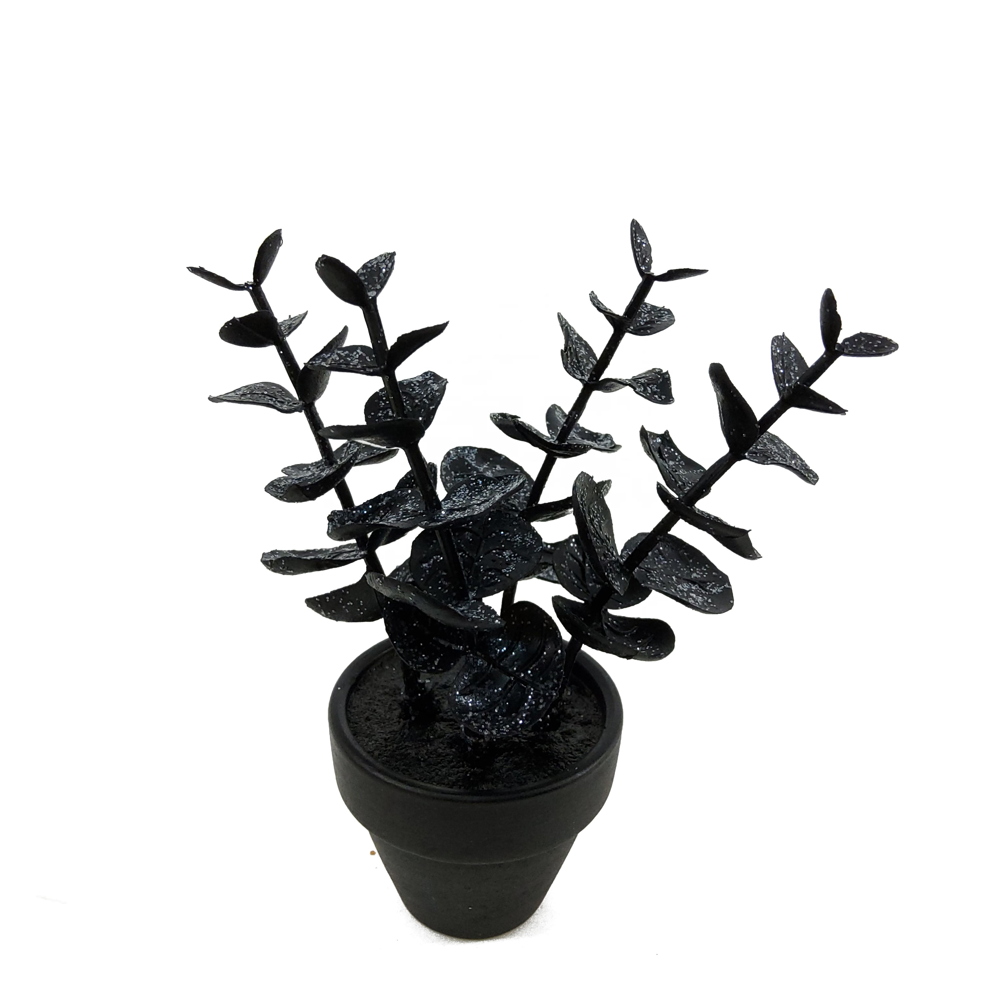 Assorted Mini Black Potted Succulent, 1pc. by Ashland®