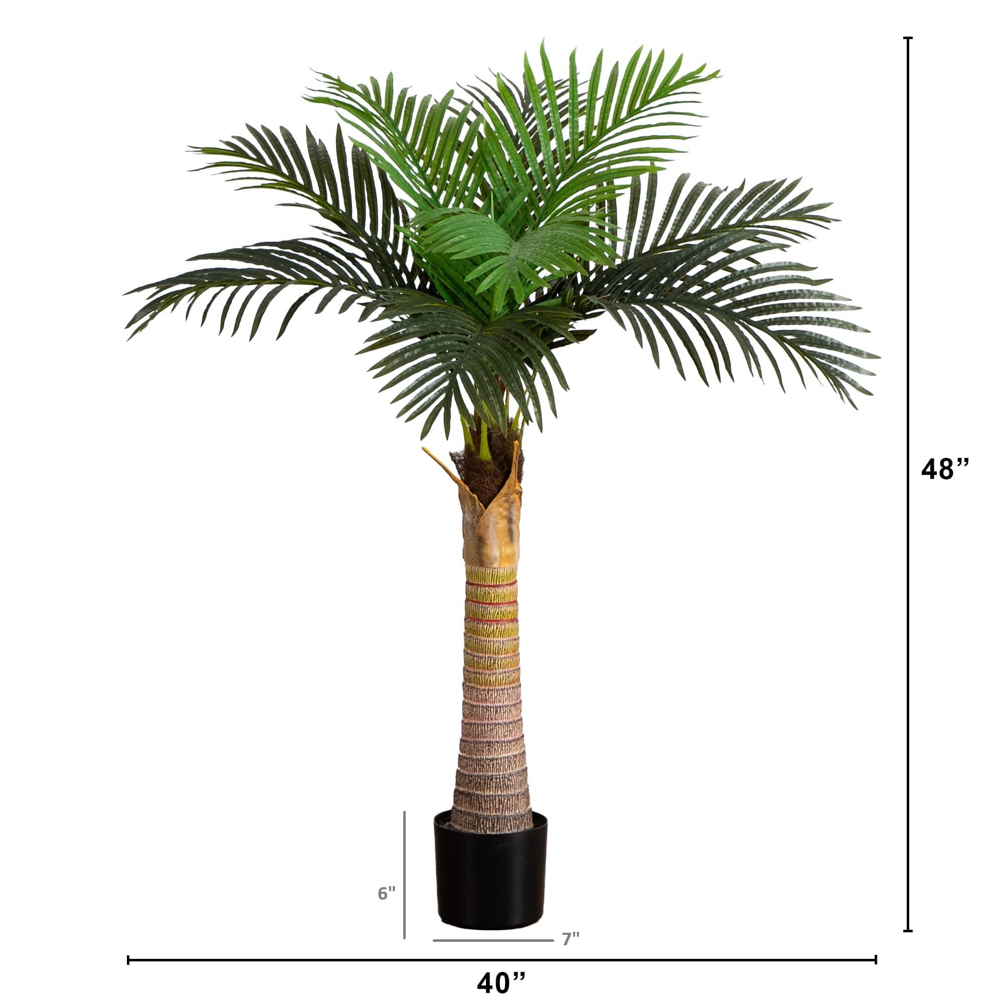 4ft. Potted Coconut Palm Tree