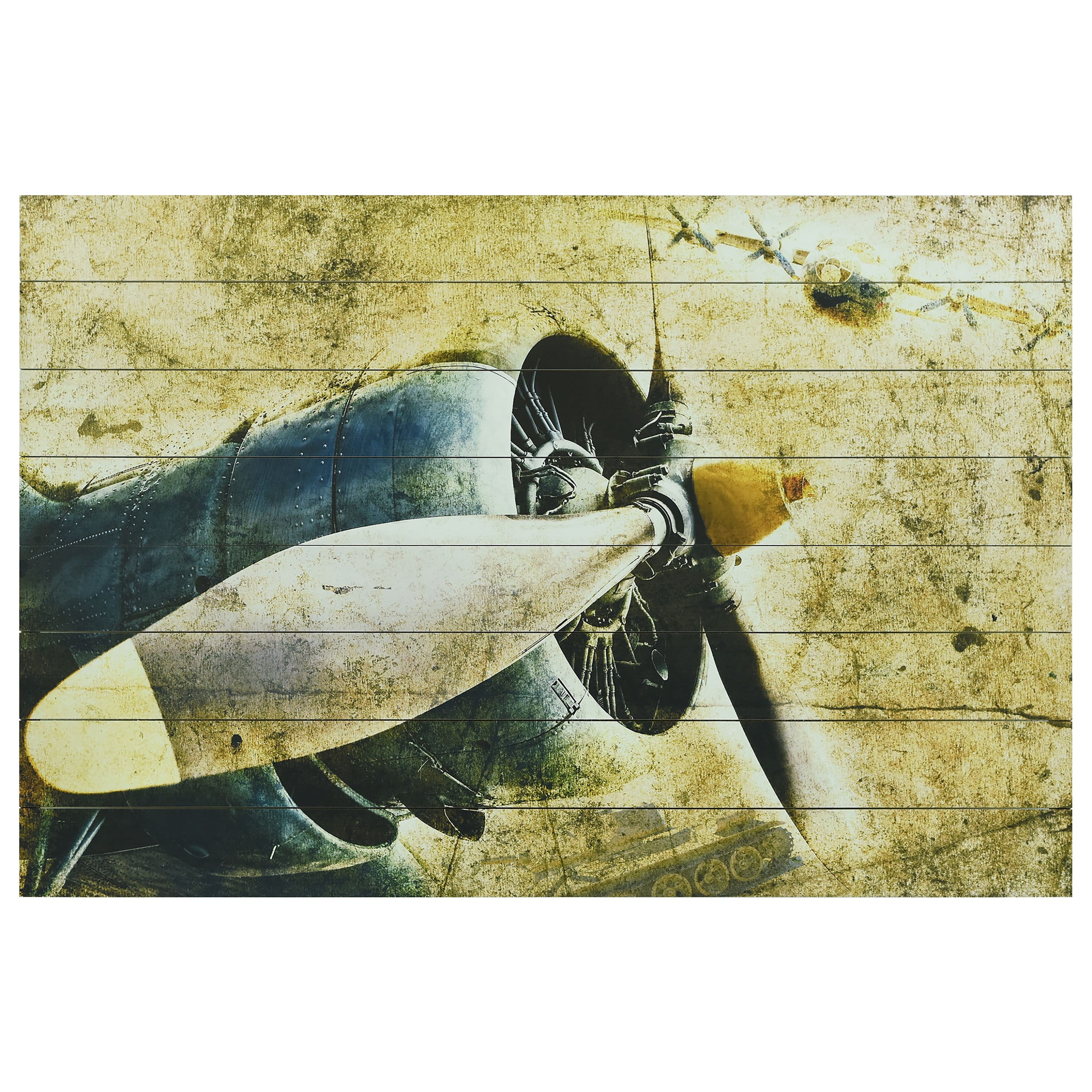 Empire Art Direct Arte de Legno 30" x 45" Airplane Digital Print Planks Wall Art