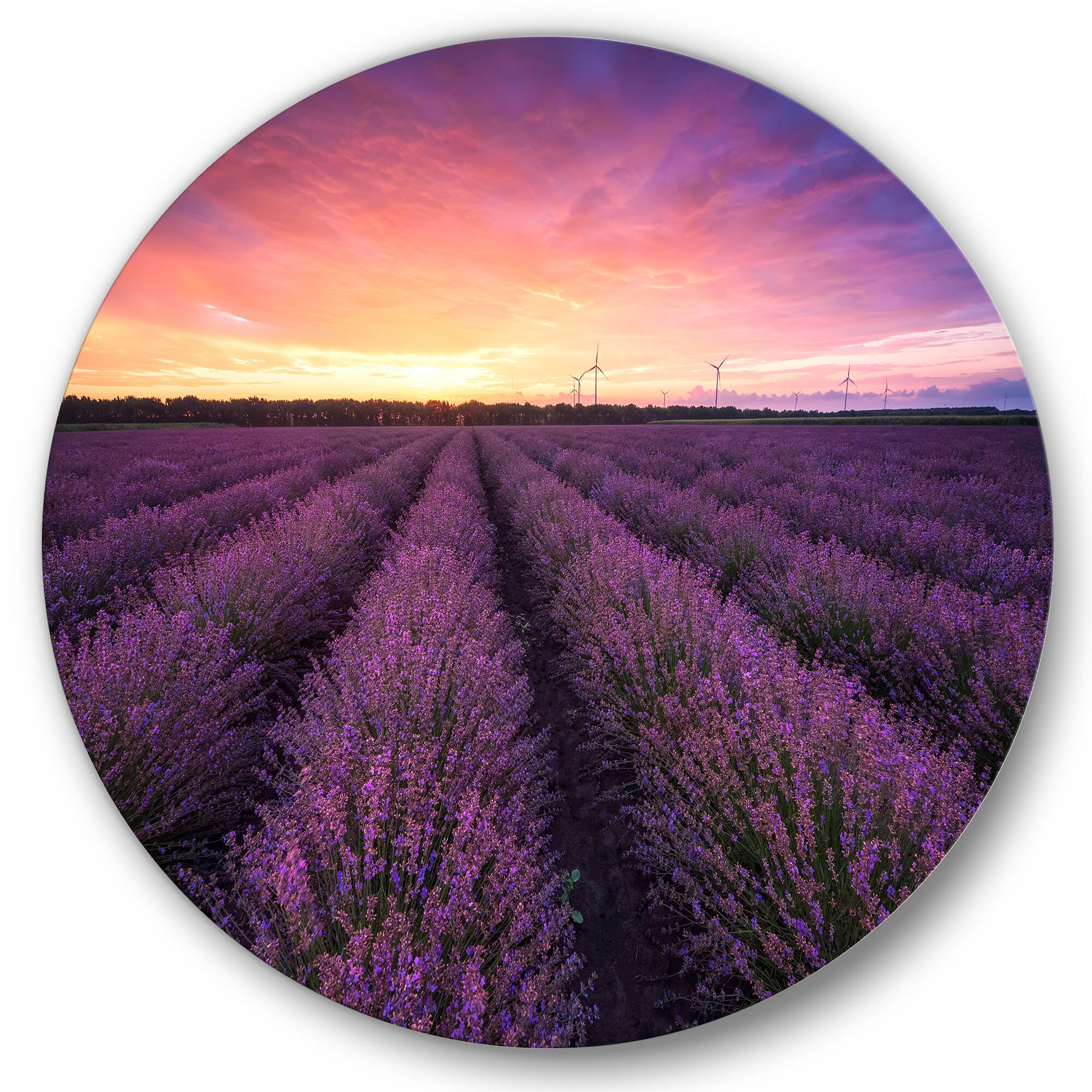 Designart - Sunrise & Dramatic Clouds Over Lavender Field XIII - Farmhouse Metal Circle Wall Art