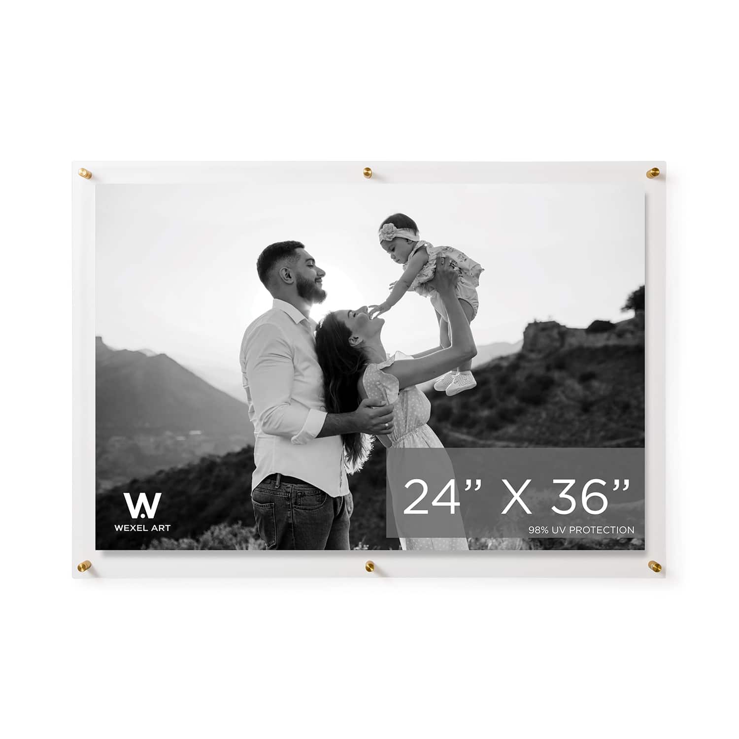 Wexel Art Double Panel Clear Acrylic Floating Wall Frame with Gold Hardware