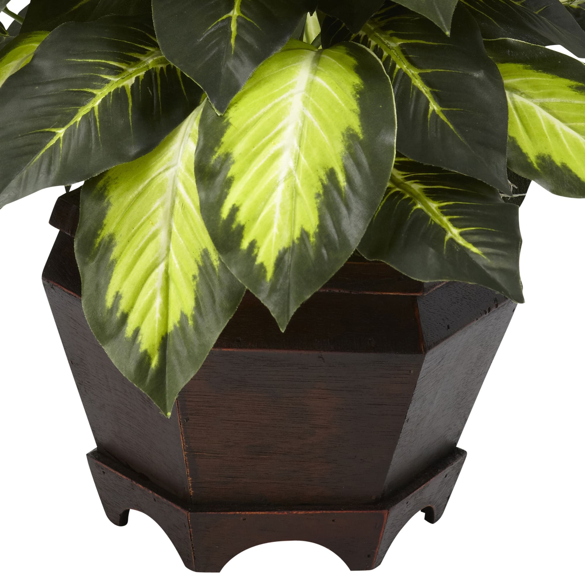 22" Green Triple Golden Dumb Cane Plant with Wood Vase