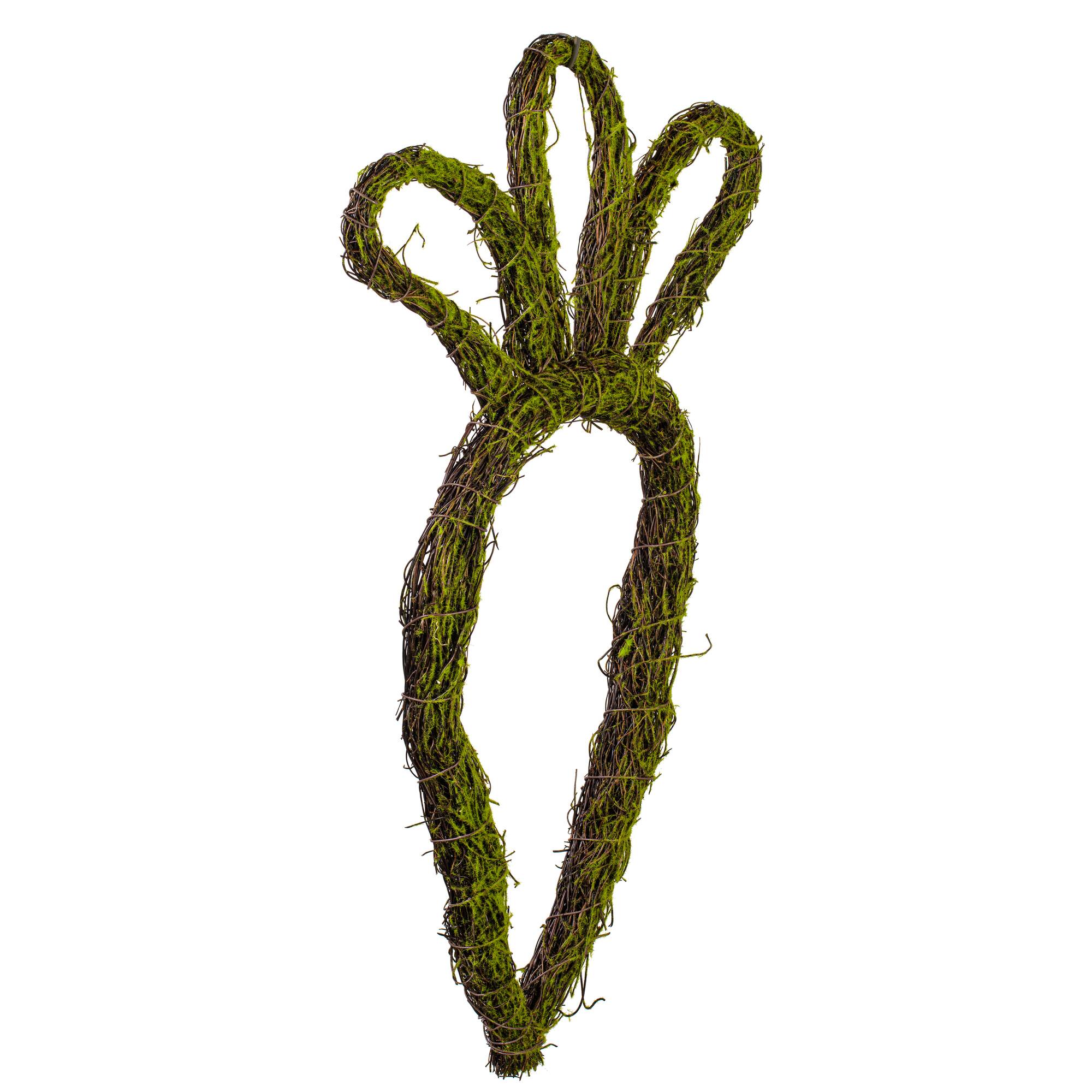 Vickerman 23" x 12" Carrot Outline Wreath