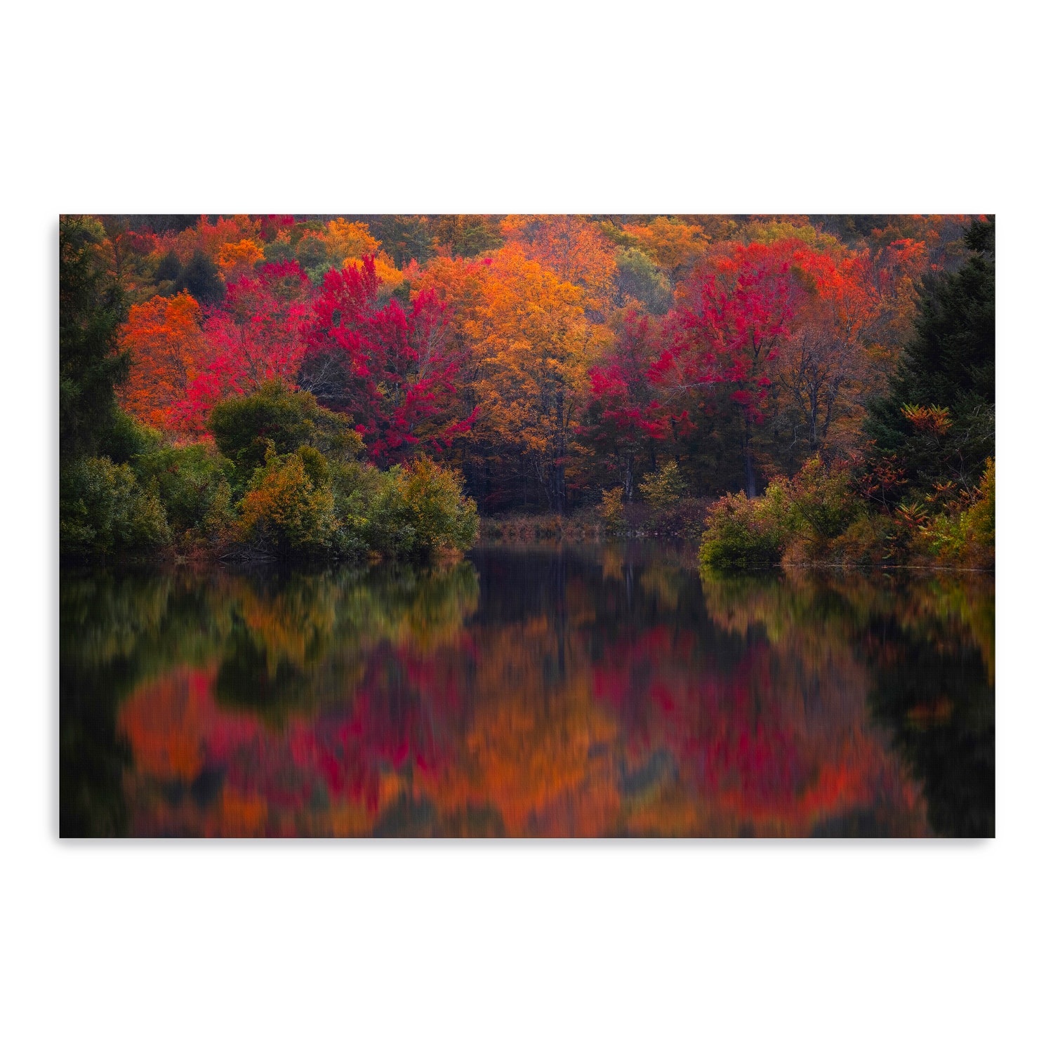 Lumaprints Mirror Mirror Canvas Giclée Art