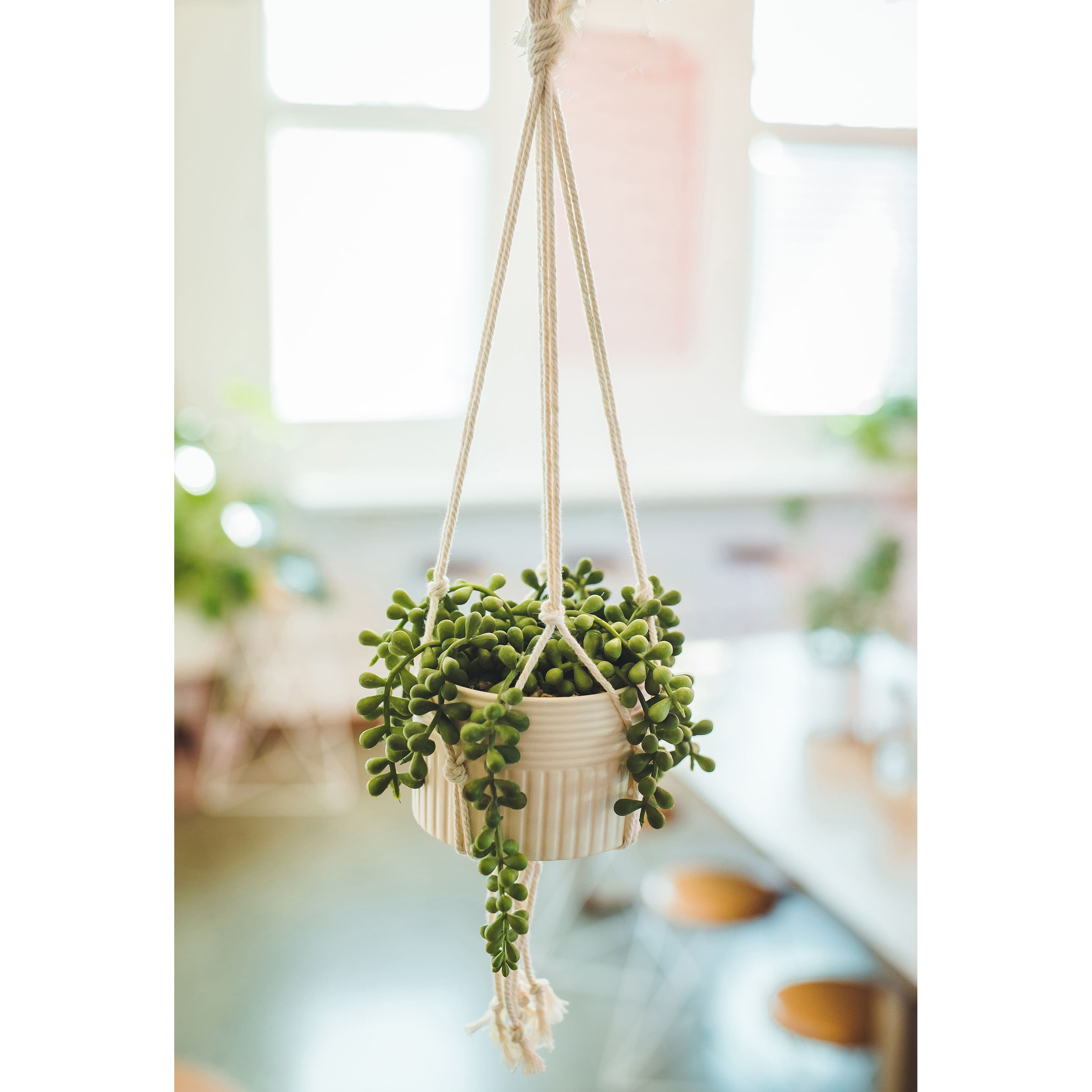 Flora Bunda® 5.5" String Of Pearls Macramé Hanging Ceramic Donkey Tails 