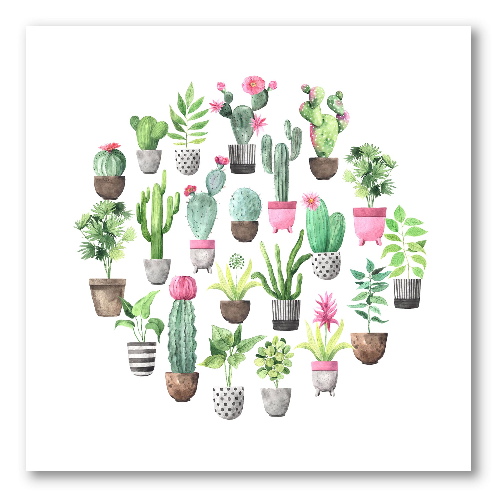 Designart - Cacti In Ceramic Pots In Gentle Tones II - Traditional Canvas Wall Art Print
