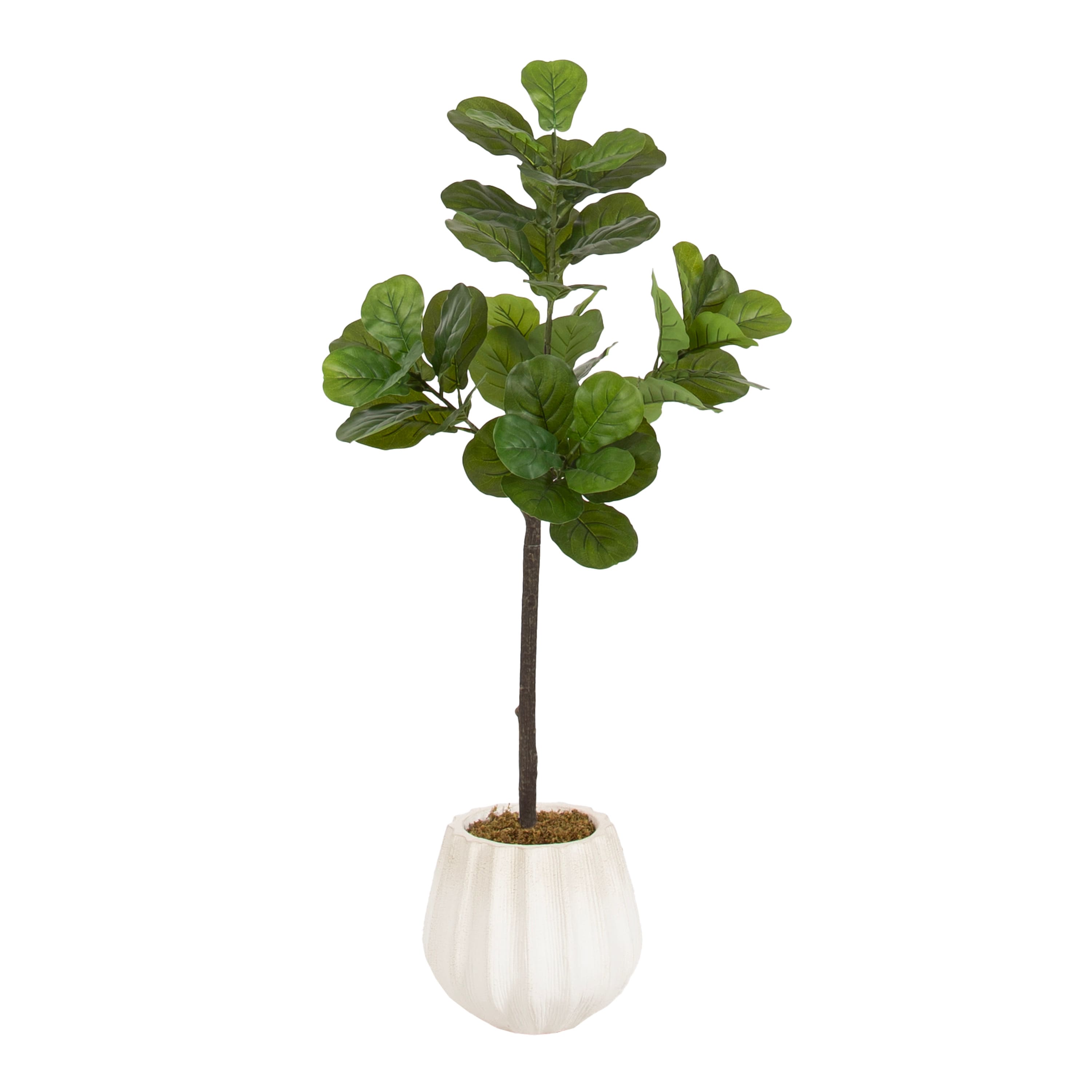 Kate and Laurel 4ft. Fidmont Faux Fiddle Fig Tree in Claudel Scalloped Planter