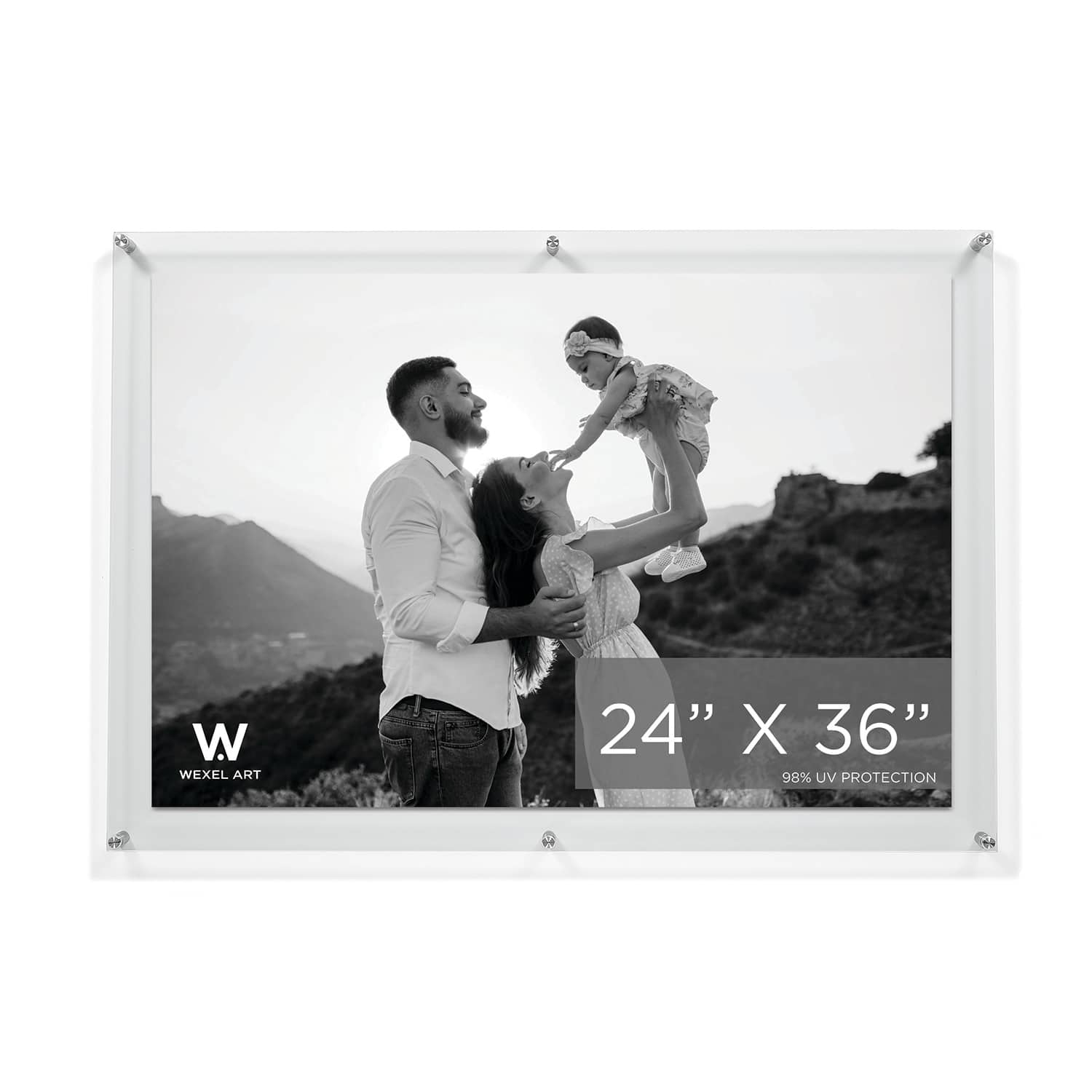 Wexel Art Double Panel Clear Acrylic Floating Wall Frame with Silver Hardware