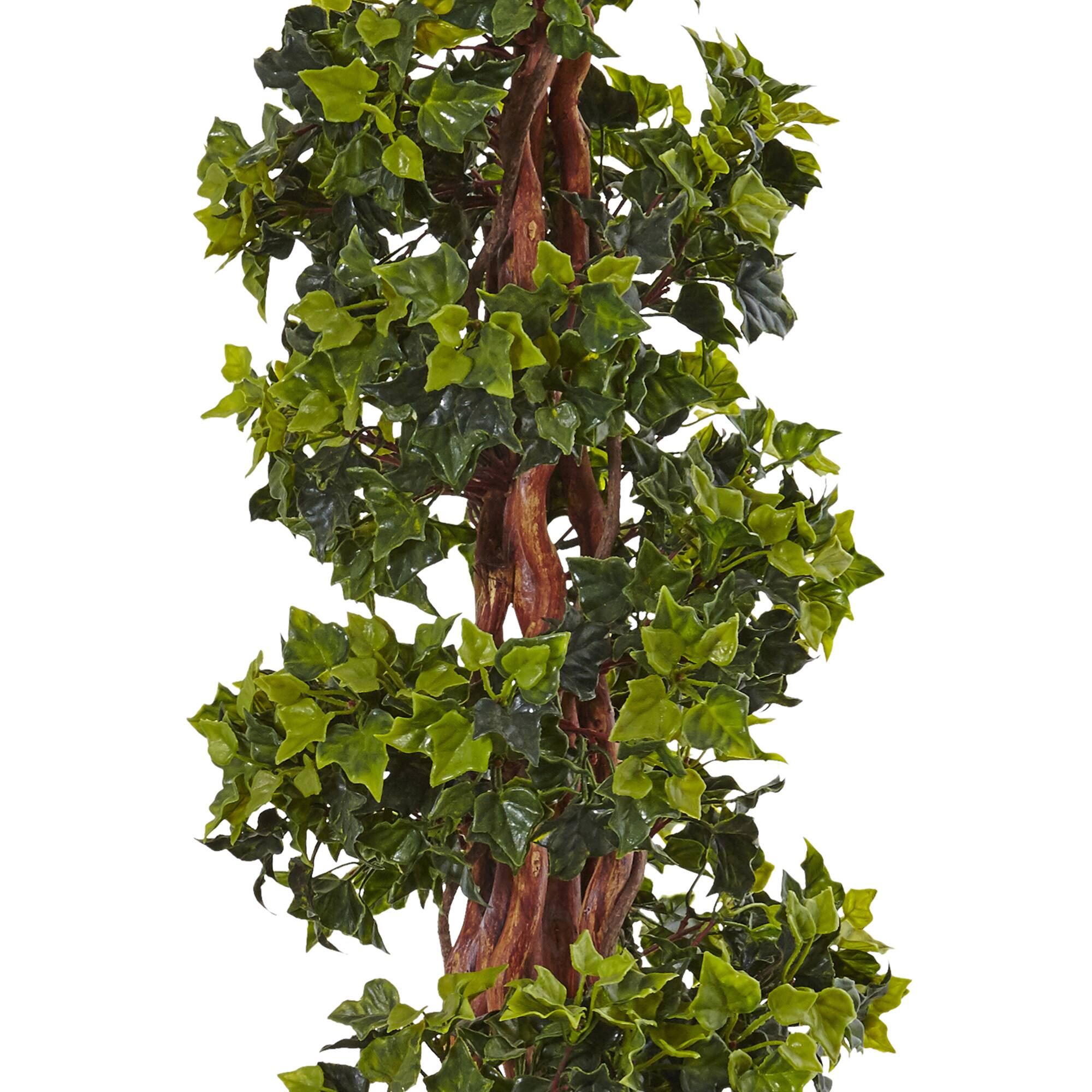 4ft. English Ivy Topiary Tree in White Oval Planter