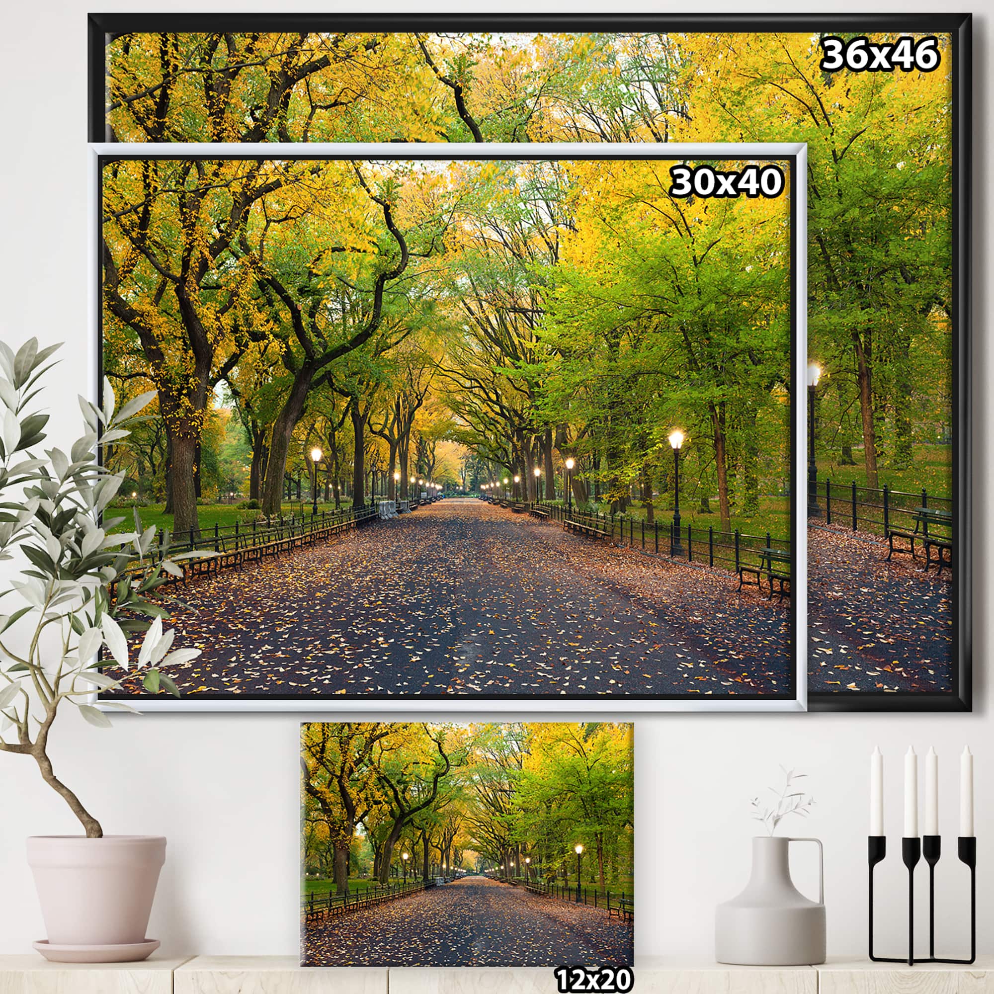 Designart - The Mall Area in Central Park - Large Landscape Framed Canvas Art