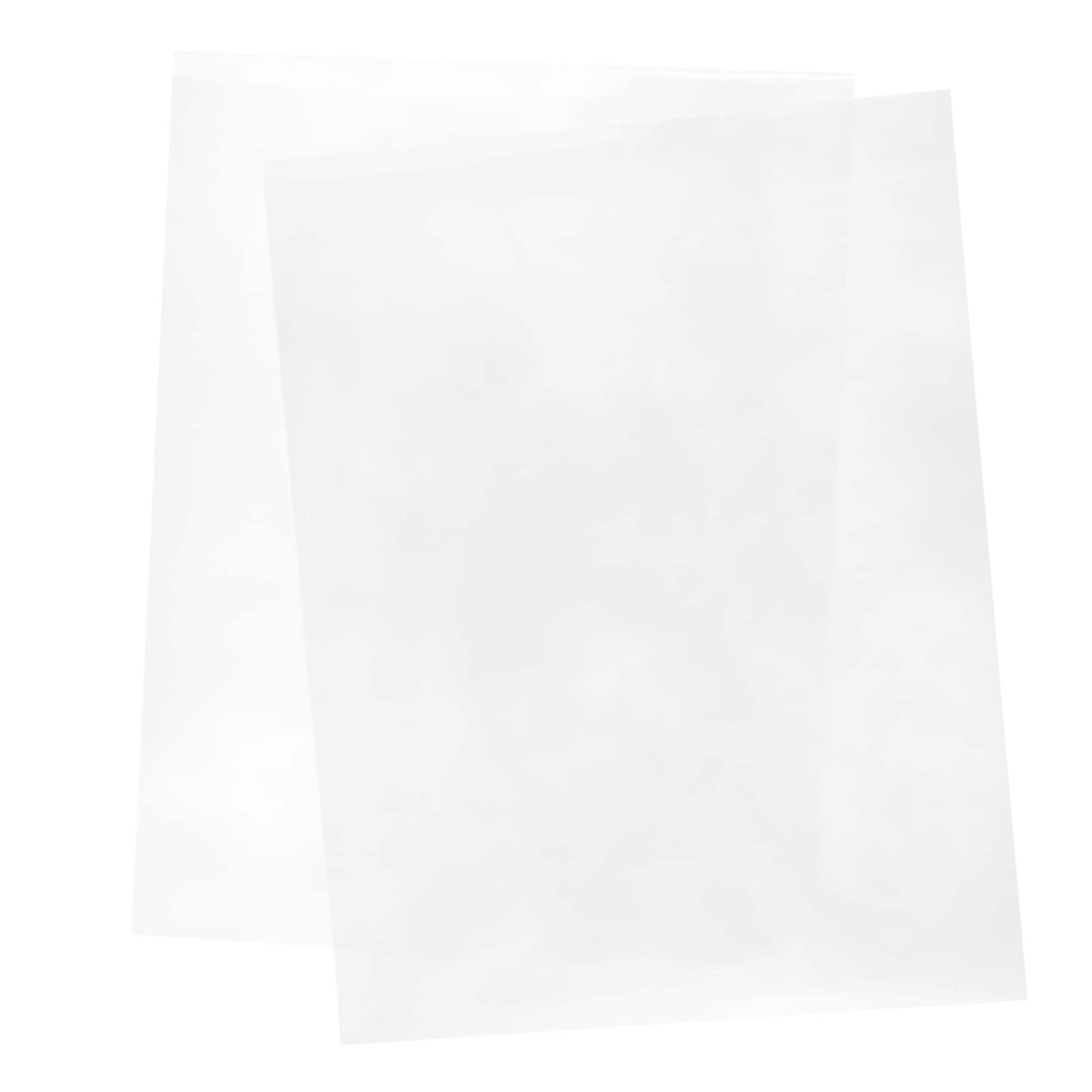 We R Memory Keepers® 8.5" Minc Transfer Folders, 2ct.