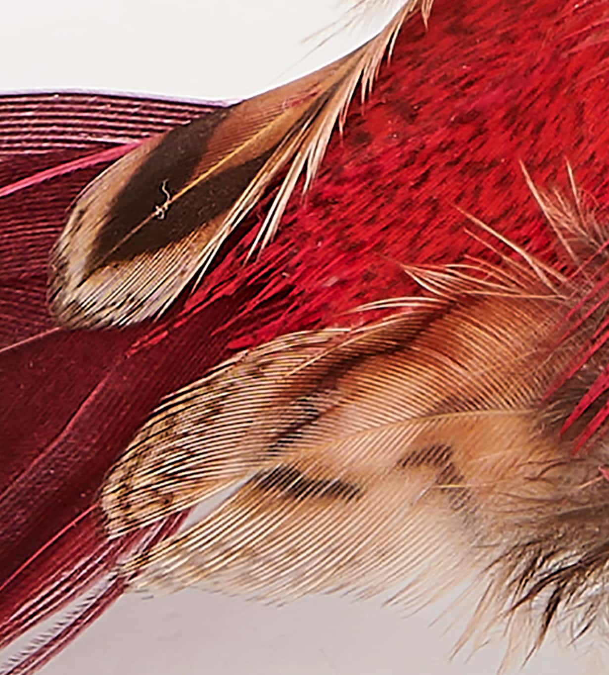 4.5" Red Feathered Bird with Metal Clips, 6ct.