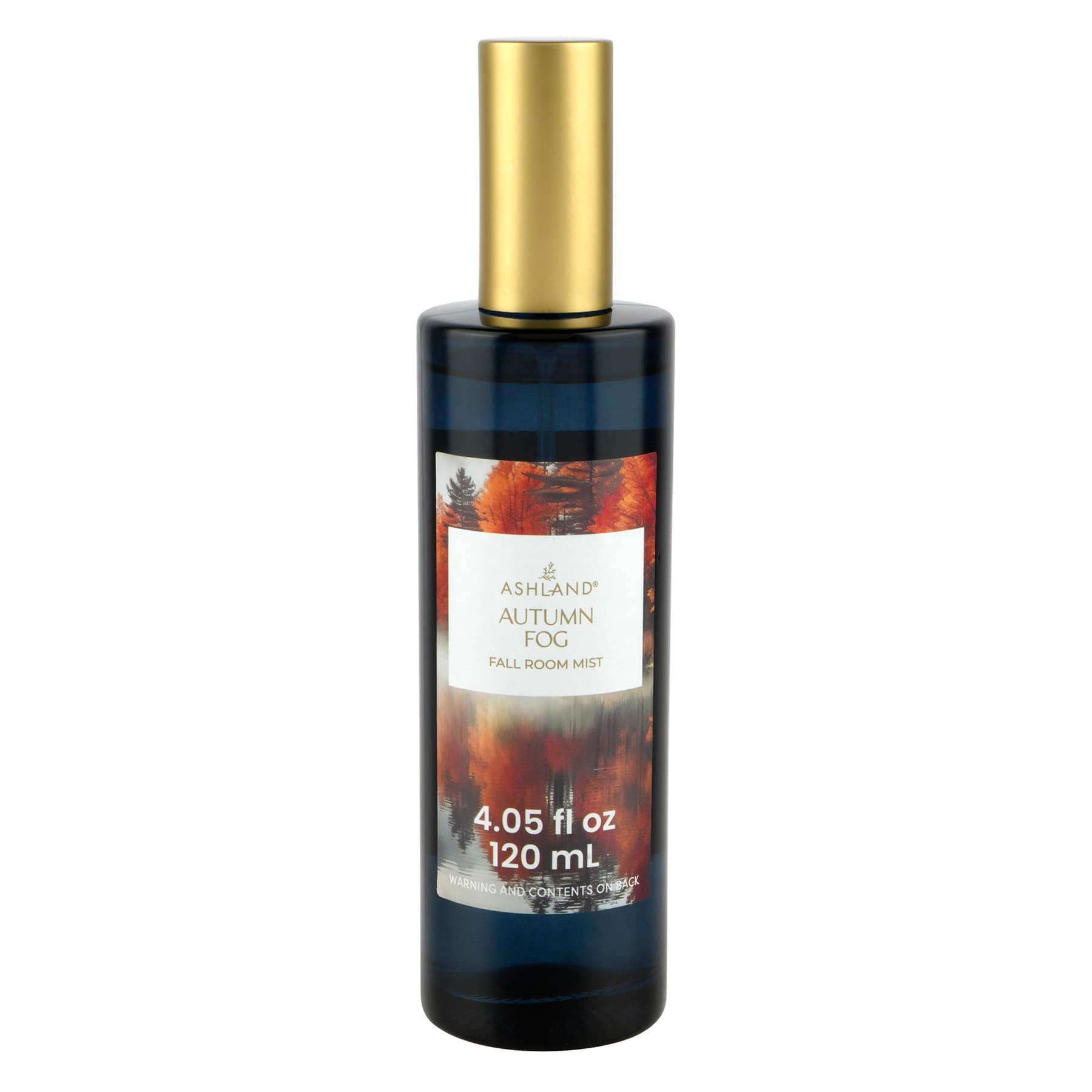 Fall Room Mist by Ashland®, Color: Autumn Fog | Michaels
