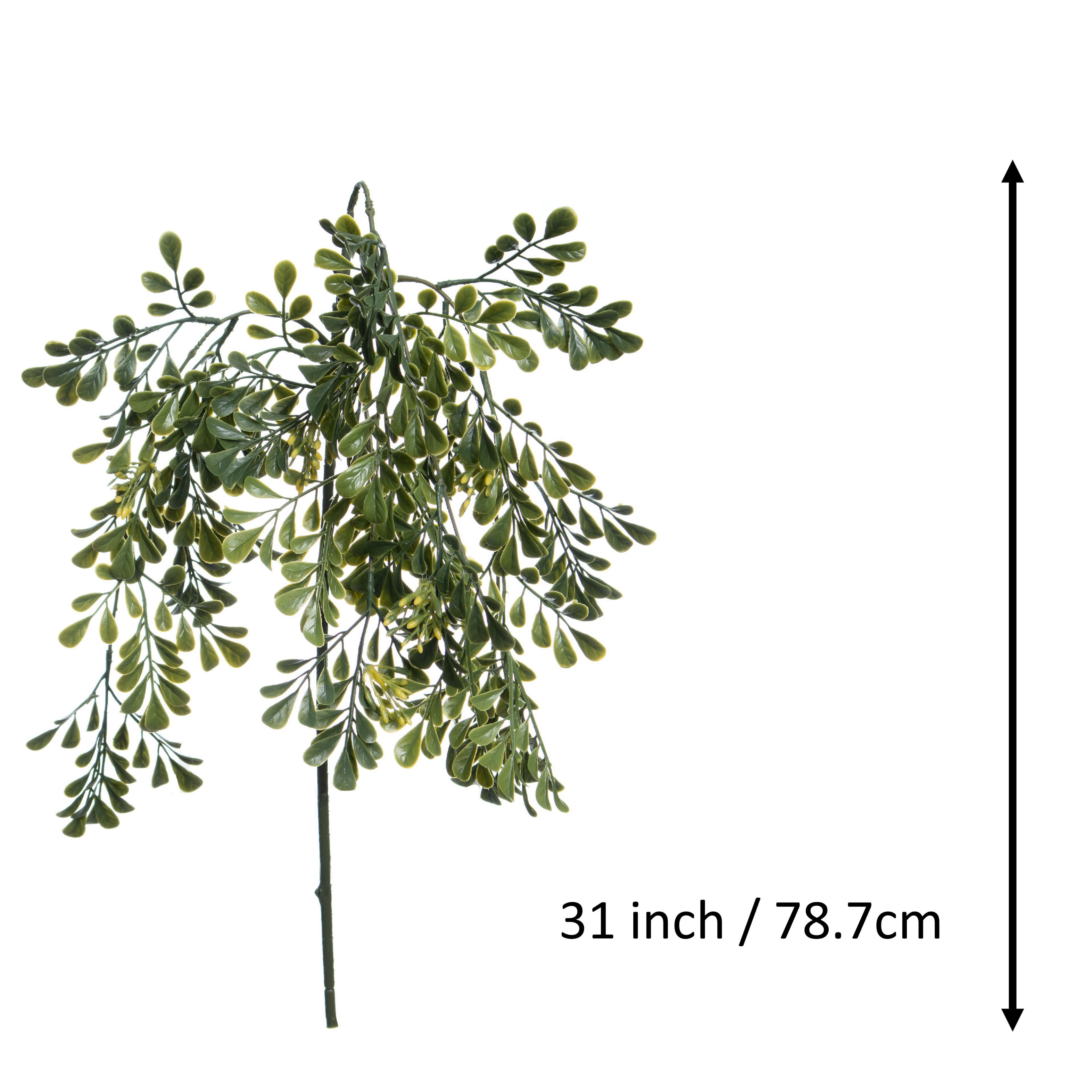 31" Hanging Seeded Boxwood Stem by Ashland®