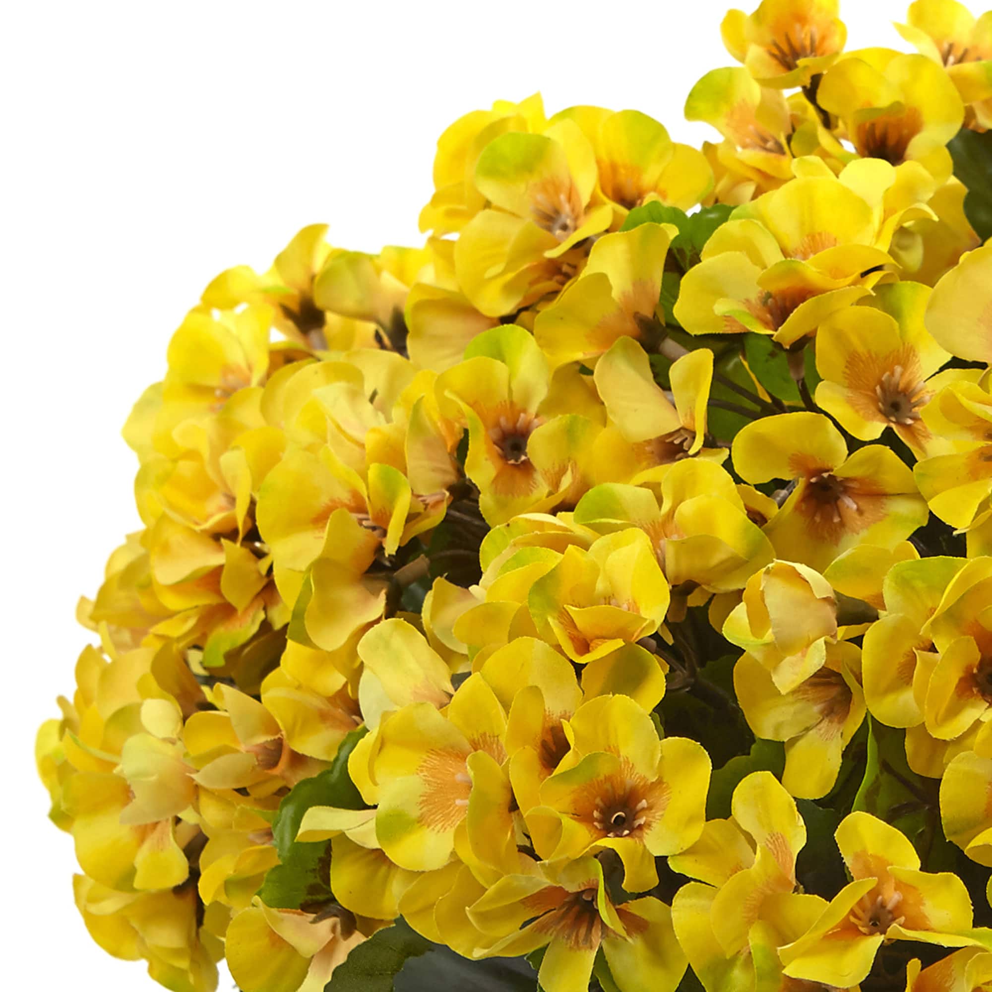 15" UV Resistant Yellow Geranium Arrangement in Black Planter