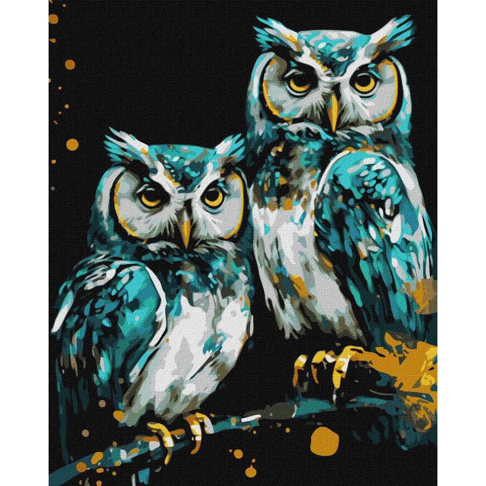 Ideyka Wise Owls Painting by Numbers Kit