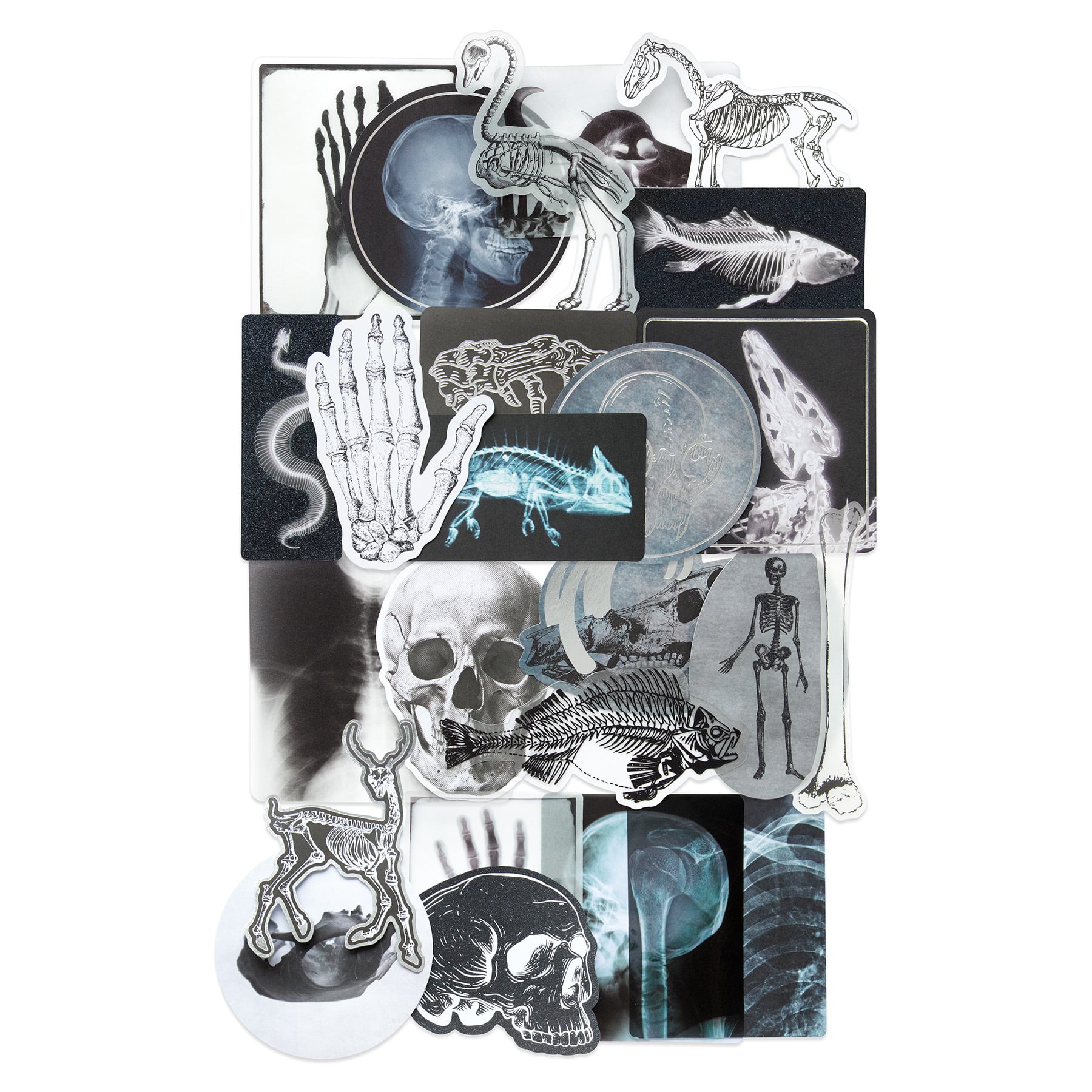Halloween Bones & X-Rays Die Cut Ephemera by Recollections™