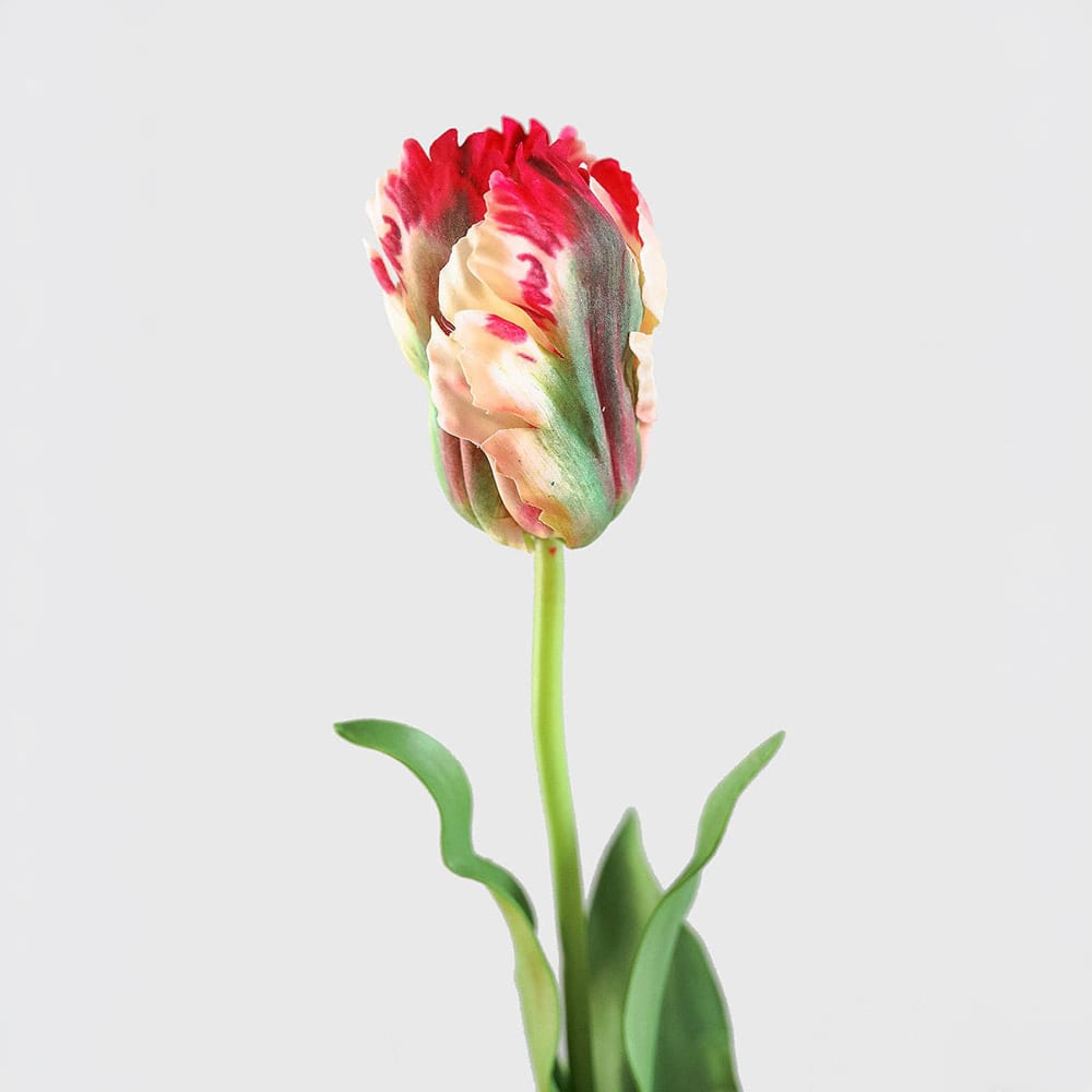 Prestige Botanicals 27" Artificial Real Touch Lemon Parrot Tulip Stem