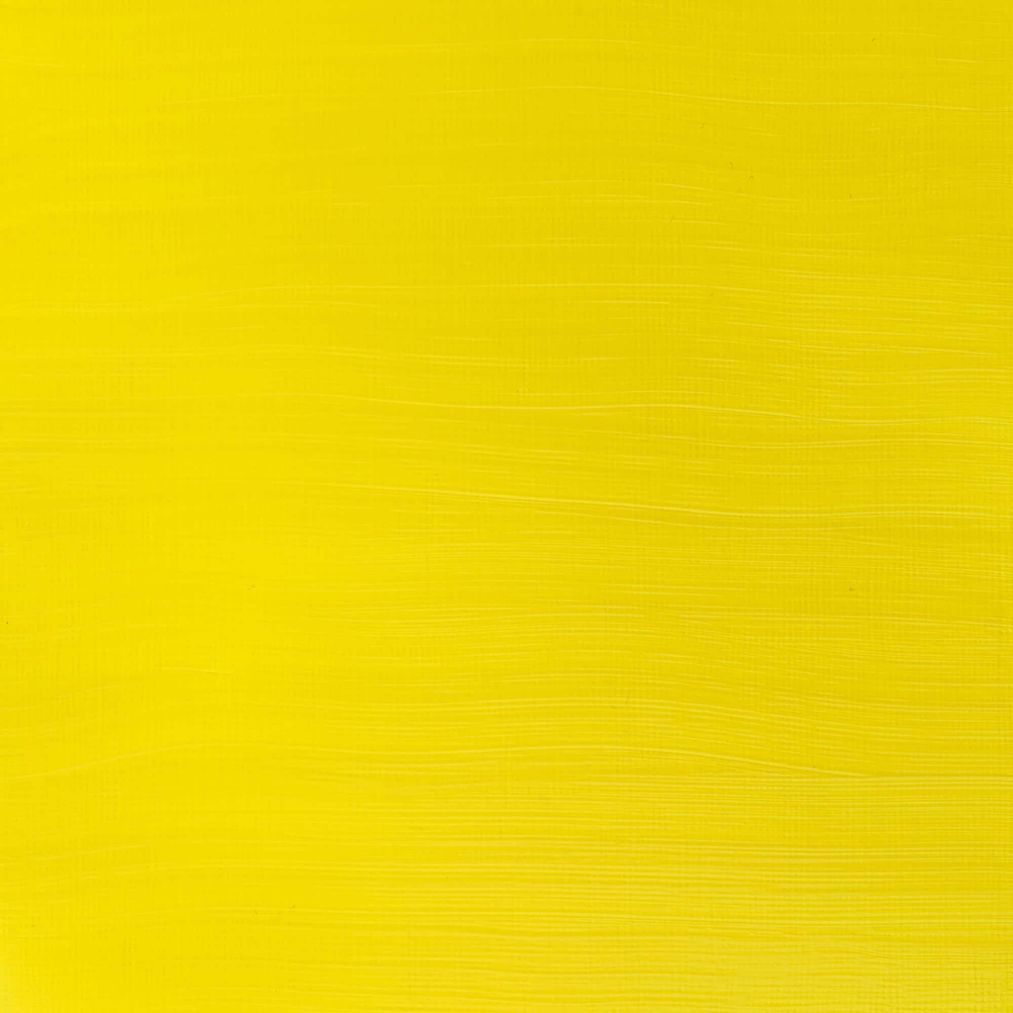 Winsor & Newton™ Galeria Acrylic™, 60mL