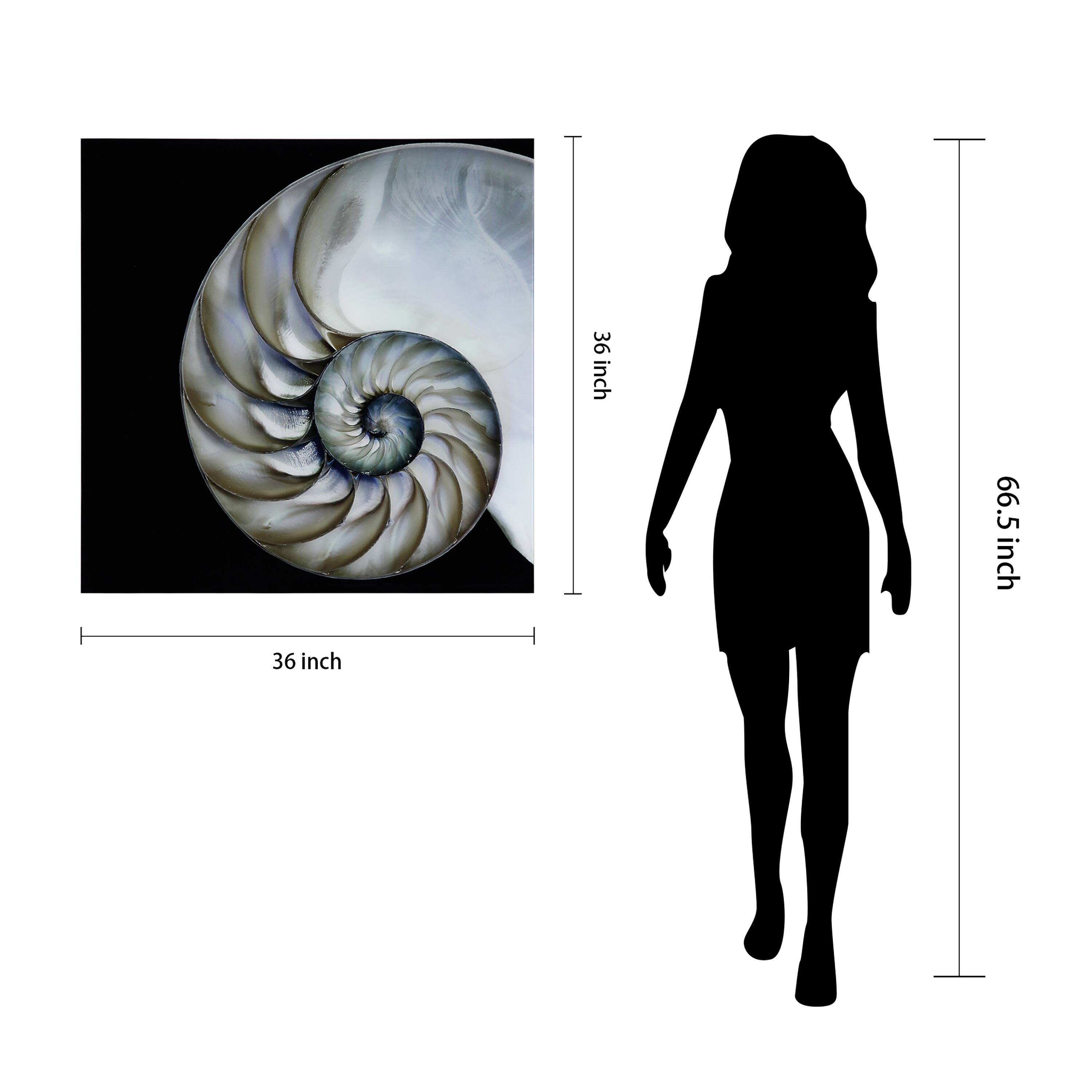 Empire Art Direct 36" x 36" Pearly Nautilus Free Floating Tempered Glass Wall Art