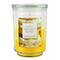 Summer Scented Jar Candle by Ashland®