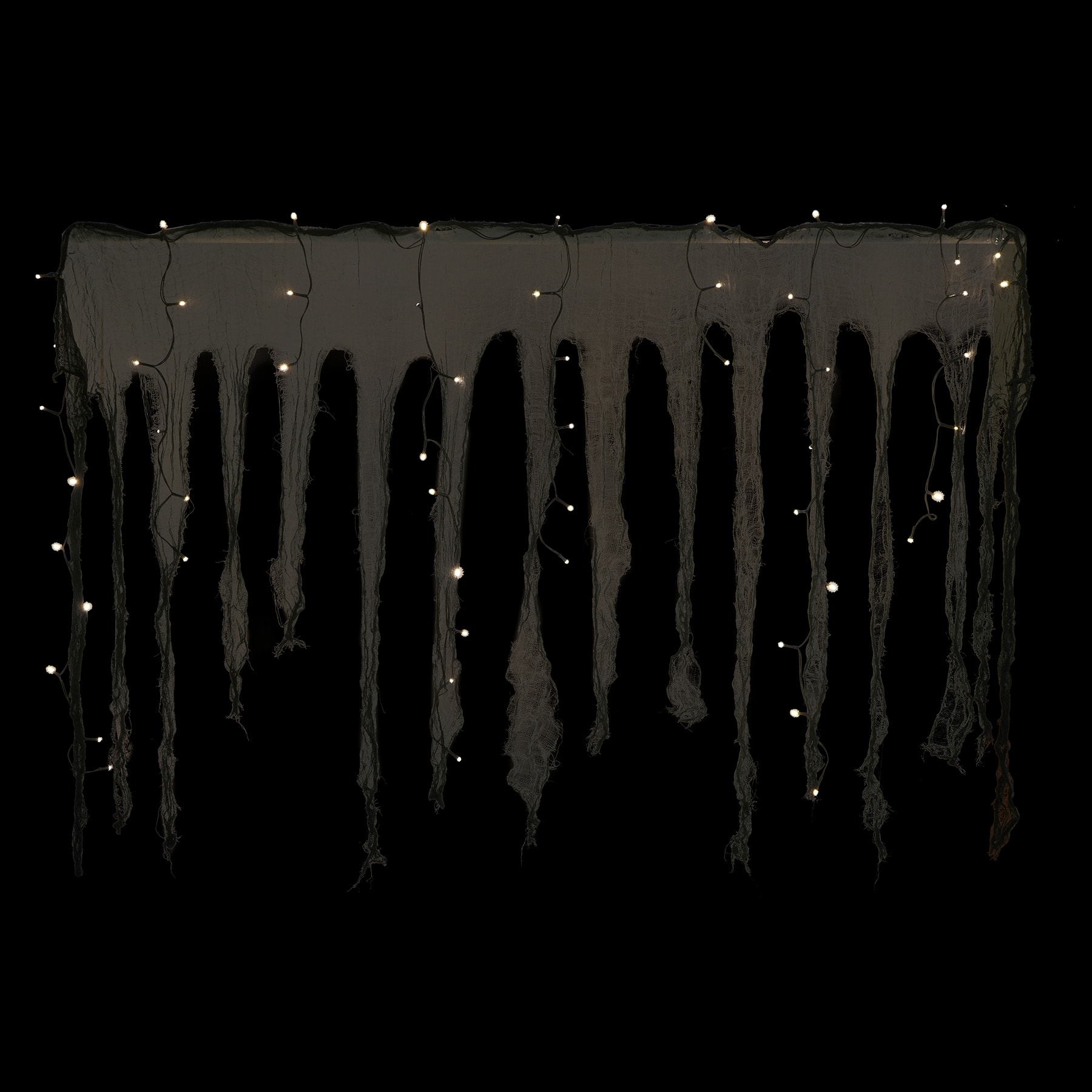54ct. Black Gauze LED String Lights Curtain by Ashland®