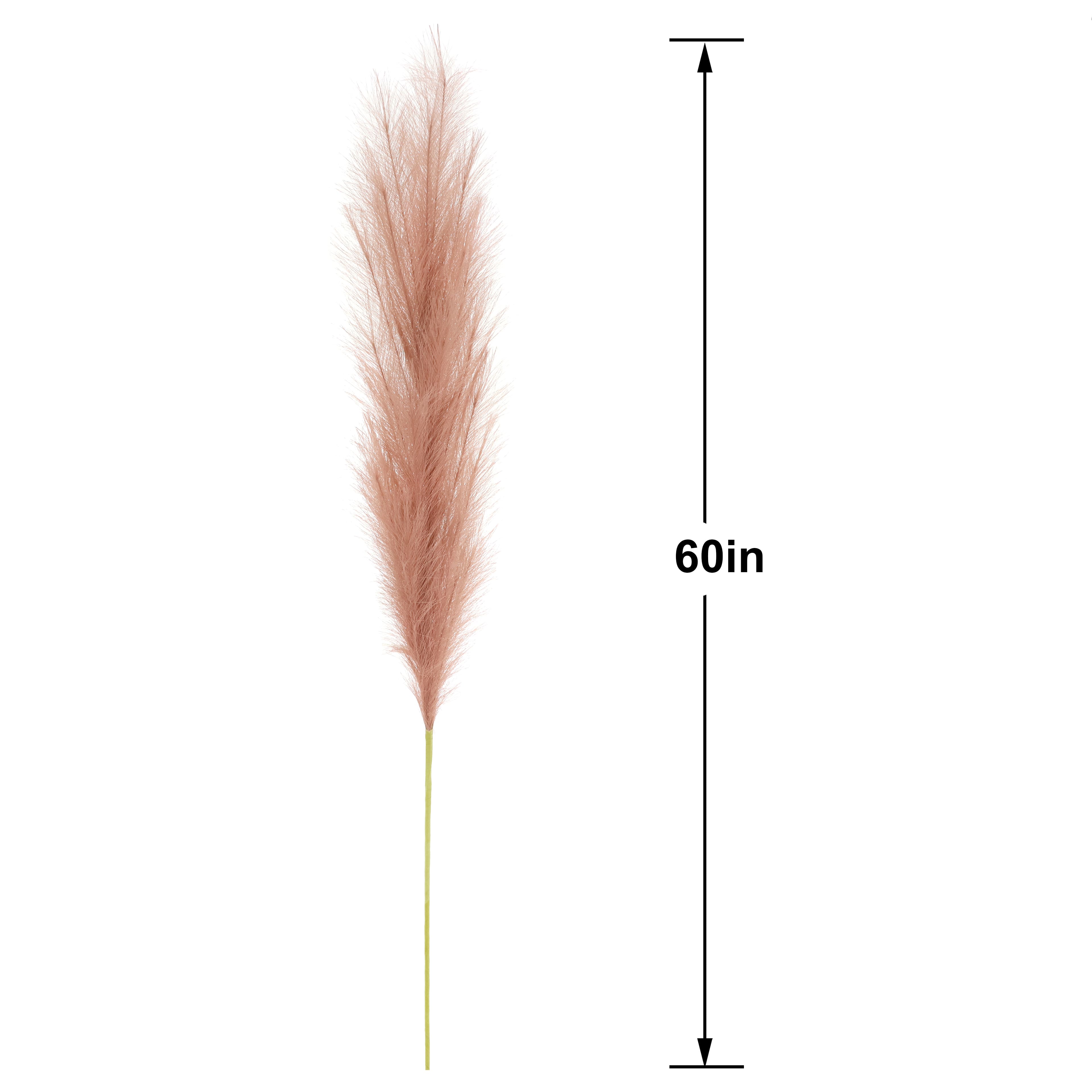 60" Pampas Grass Stem by Ashland